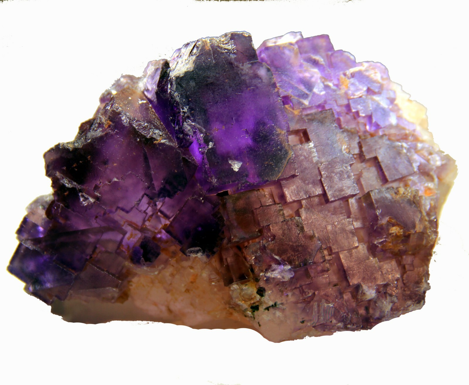 5.25″ Gorgeous FLUORITE on Matrix, Cave-in-Rock, Hardin County, Illinois! FL366