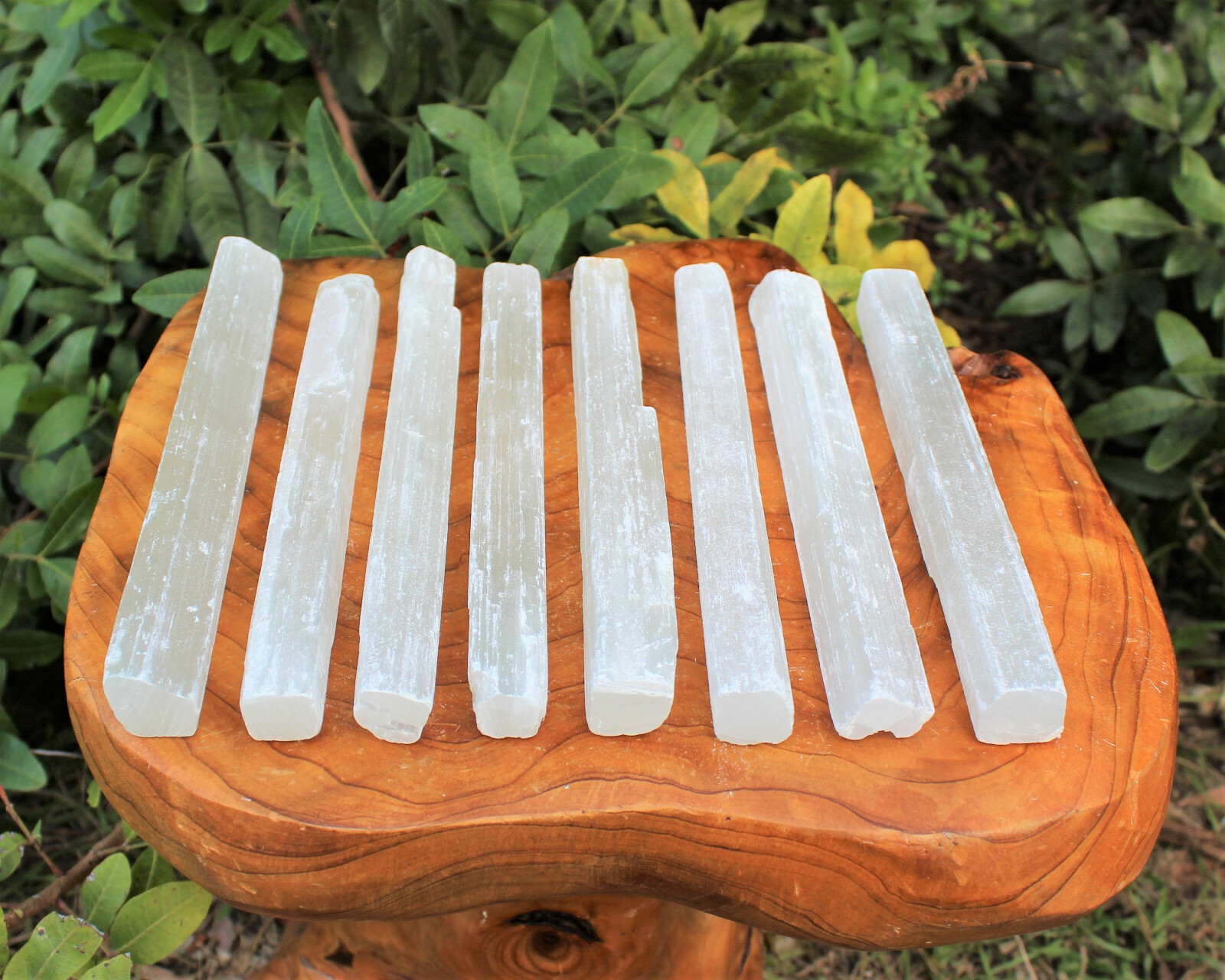2 lb Bulk Wholesale Lot 7″ – 8″ Selenite Logs Crystal Sticks Wand Blade 2 Pounds