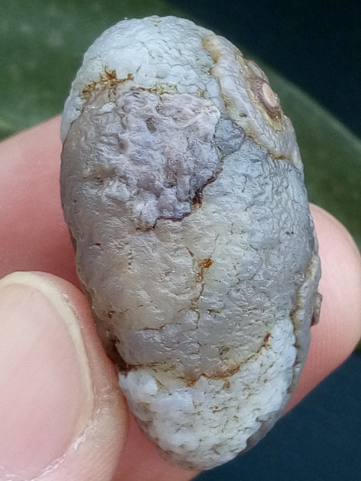 12g/36mm Natural GoBi Agate eye agate/stone cute collection