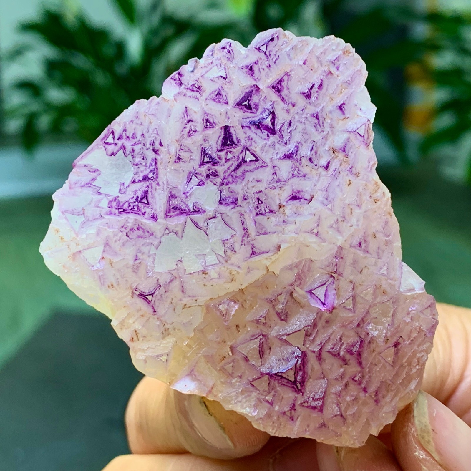 100G Natural fluorite purple edged cubic crystal mineral sample