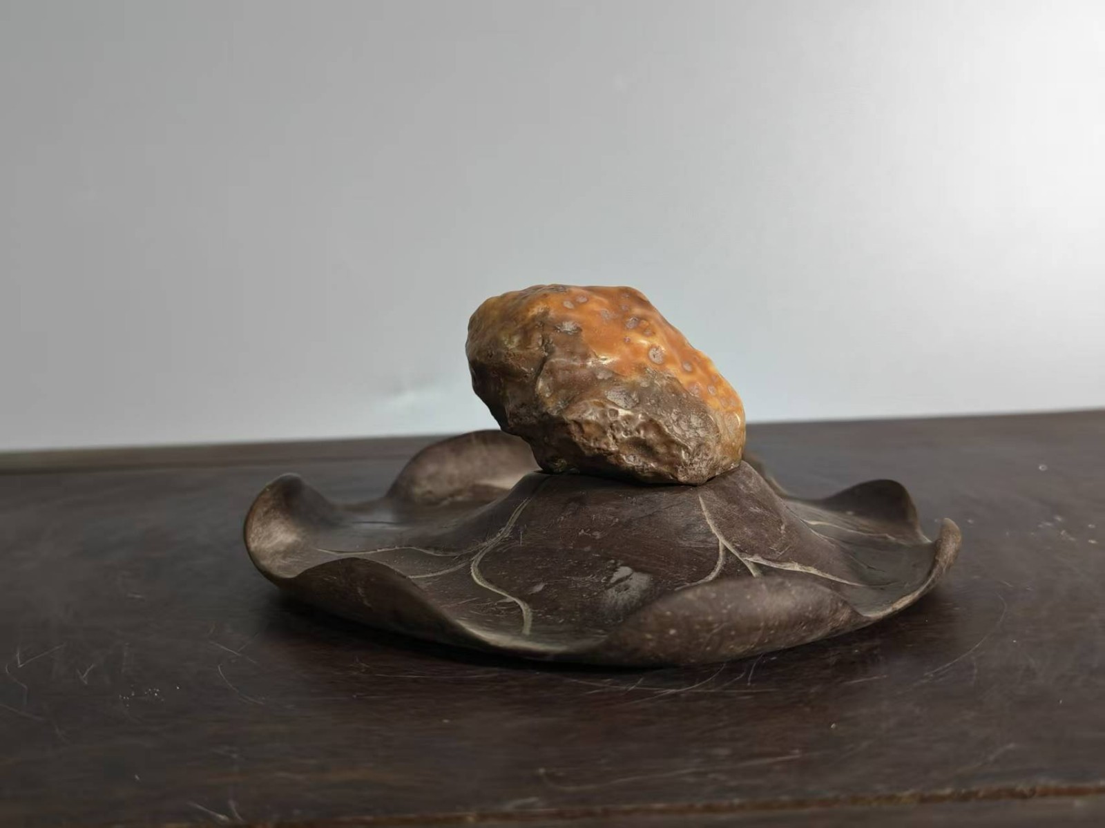 #11050. Suiseki-Fine Gobi Stone Desert Lacquer – Golden Toad Resting on Lotus