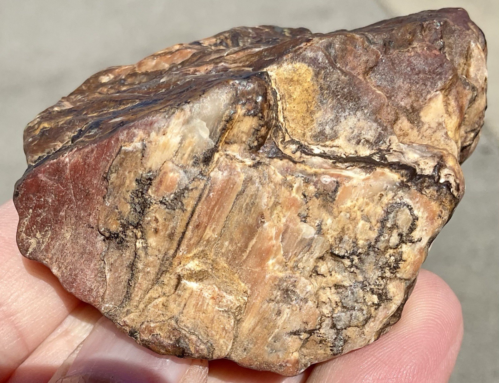 141g Banded Iron Petrified Wood Pseudomorph Rare Minnesota Rough Lapidary