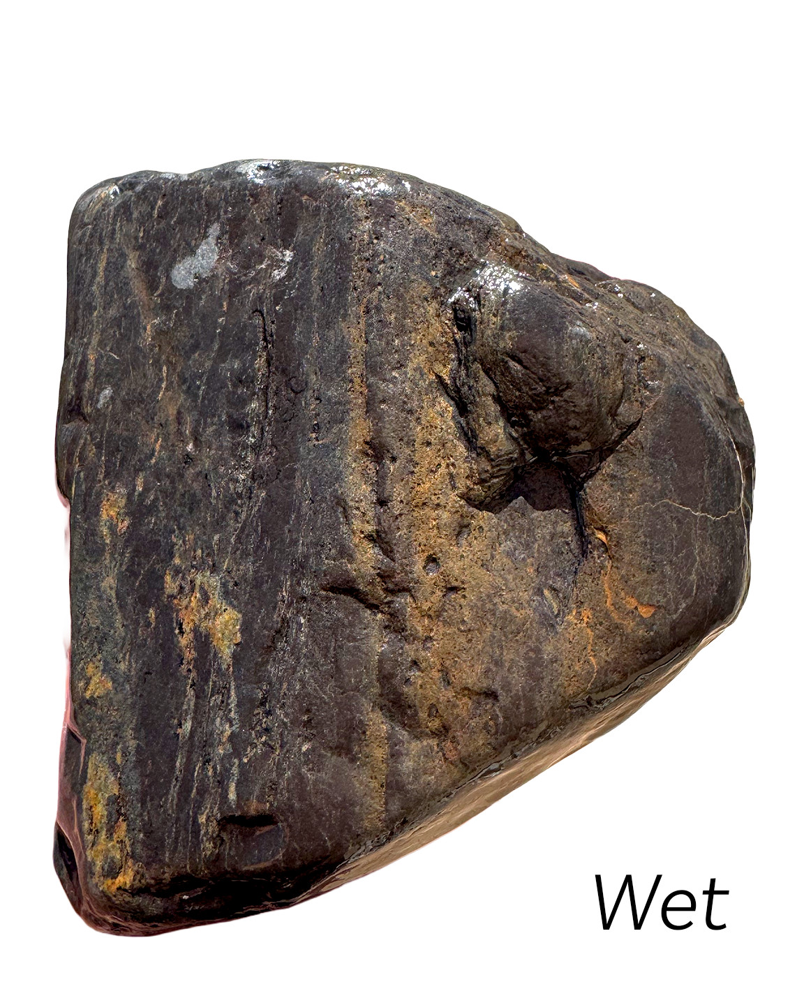 1.5 LB Magnetite Iron Ore schist rock rough specimen from Arizona