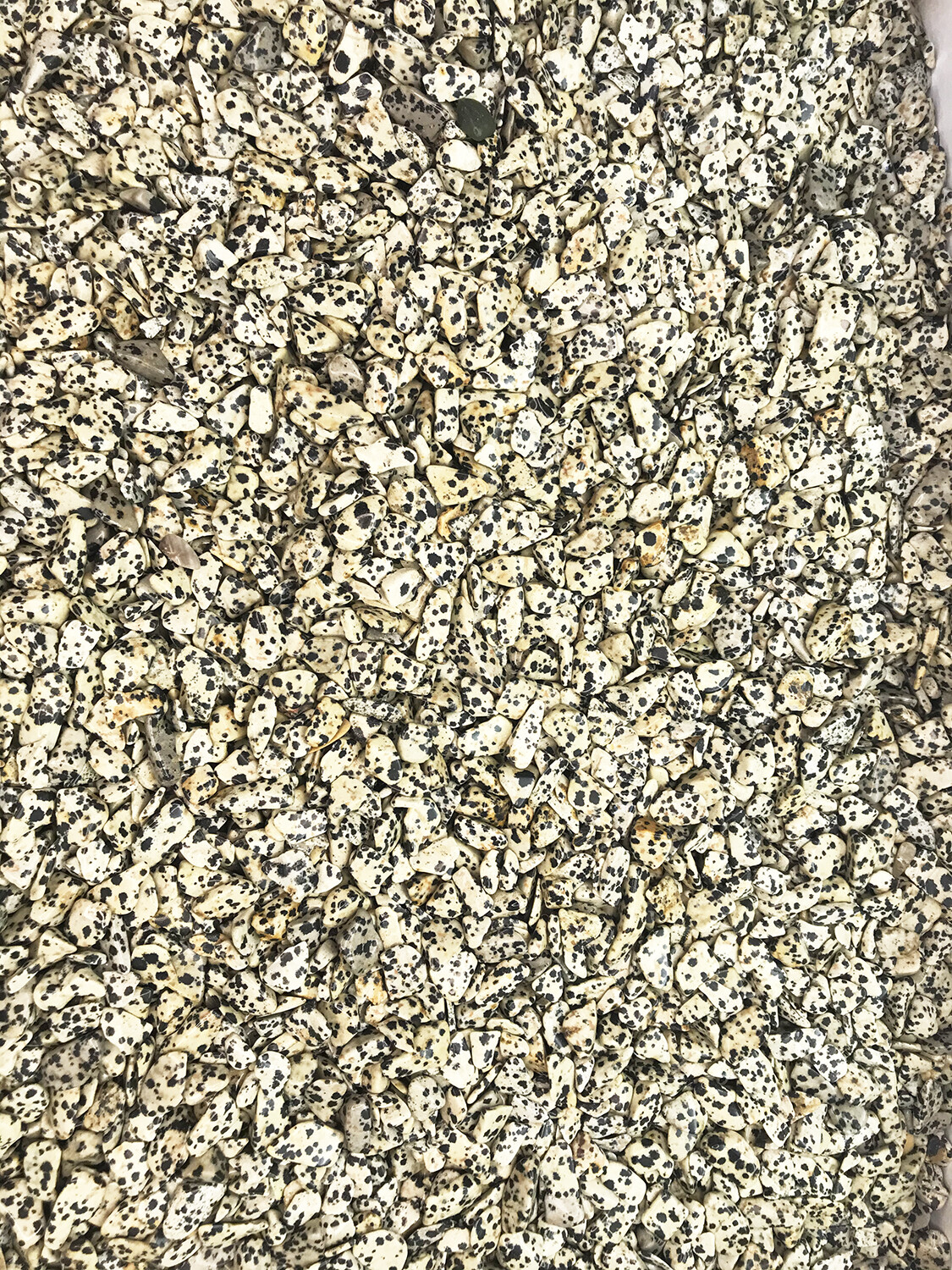 DALMATIAN STONE size Extra Small (5/16 to 5/8″) polished stone – 1 lb.
