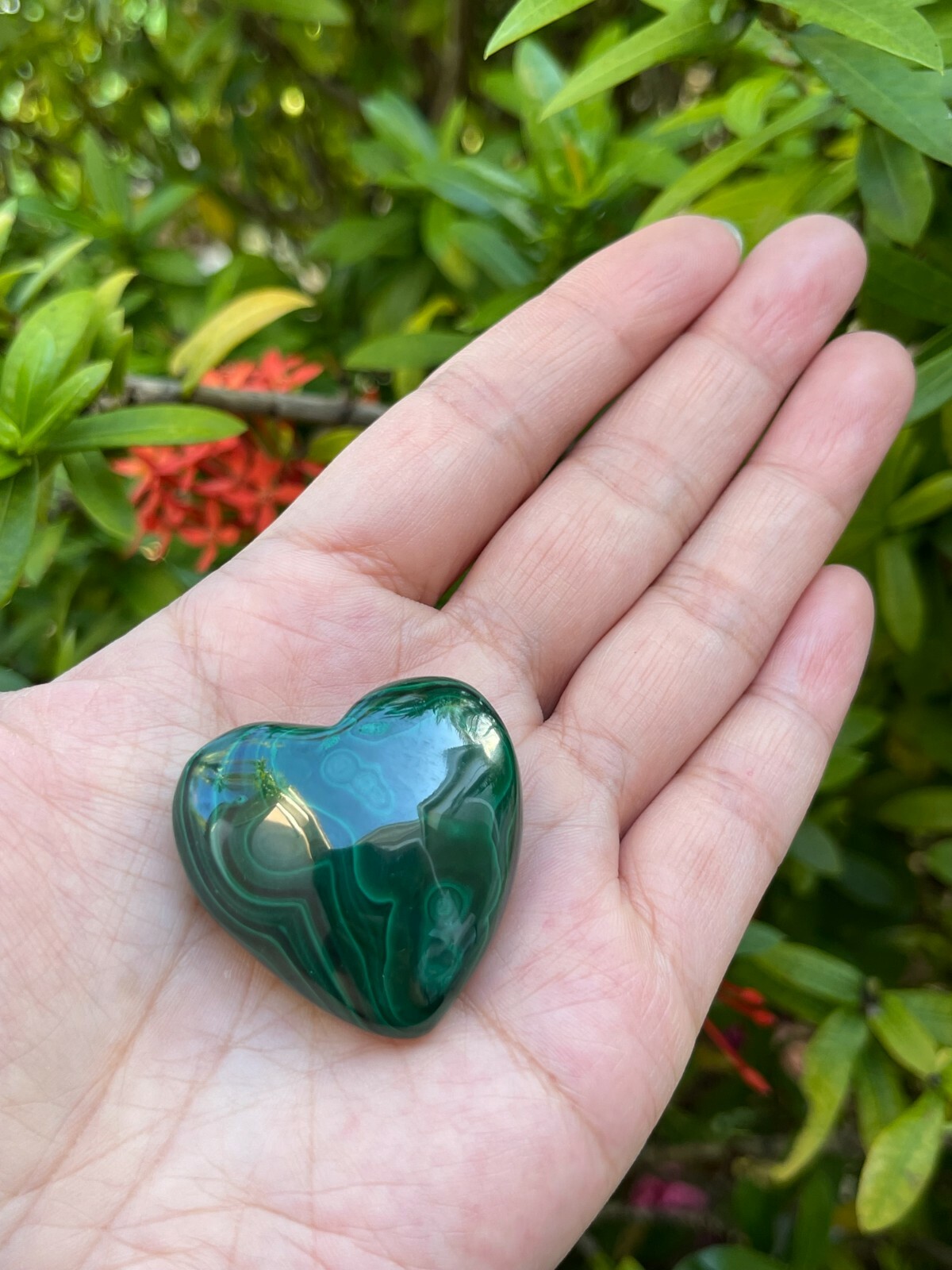 Malachite Heart, 1.5″ Polished Malachite Puffy Heart, Palm Stones, Wholesale Lot