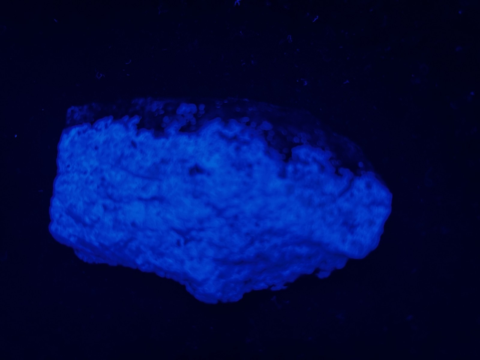 KB: SW FL BRIGHT!! BLUE/WHITE SCHEELITE XLINE. ON GNEISS YUNNAN PROVINCE, CHINA