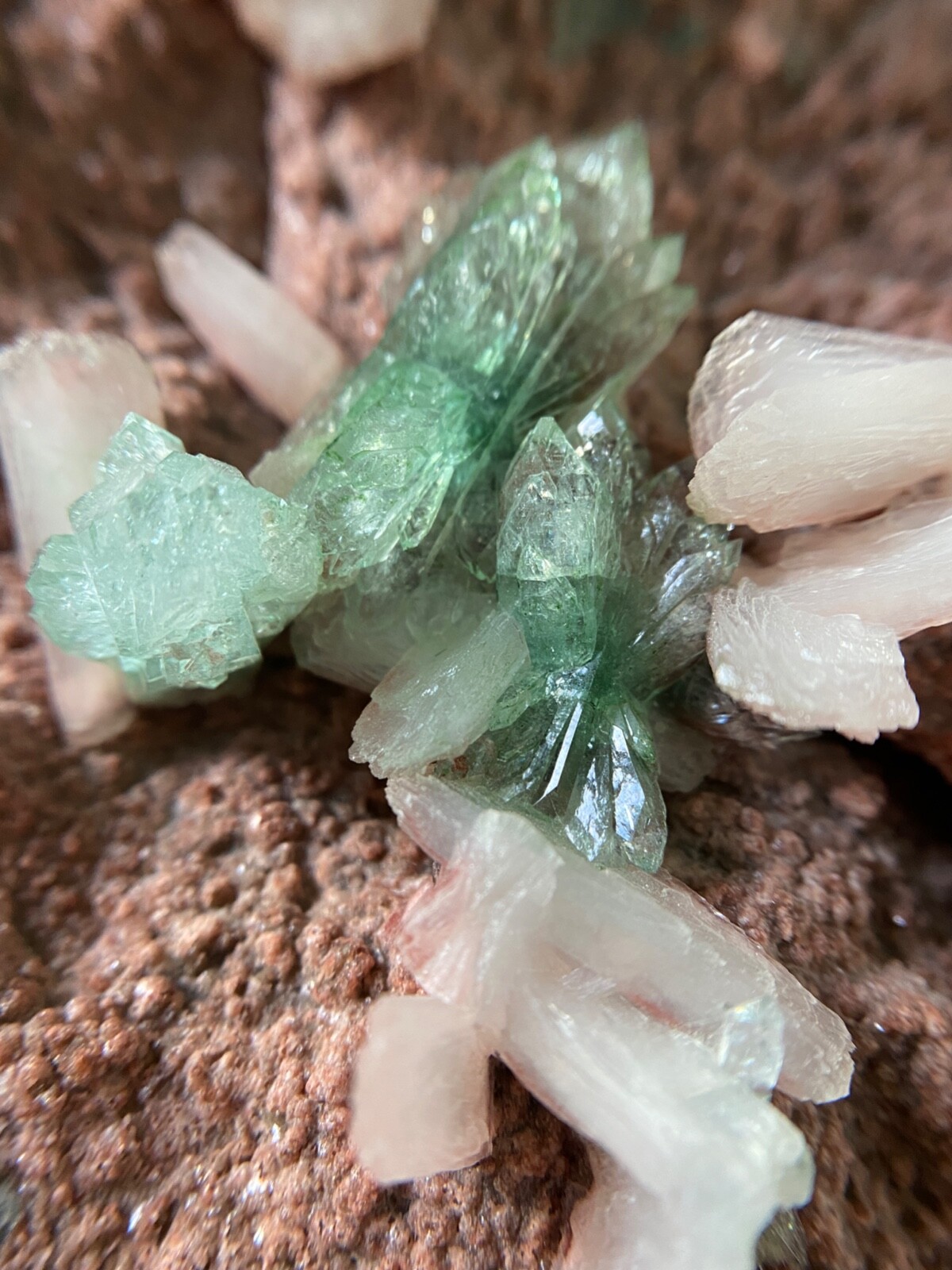 Light Mint Green Apophyllite and Pearly White Stilbite Crystals on Brown Matrix