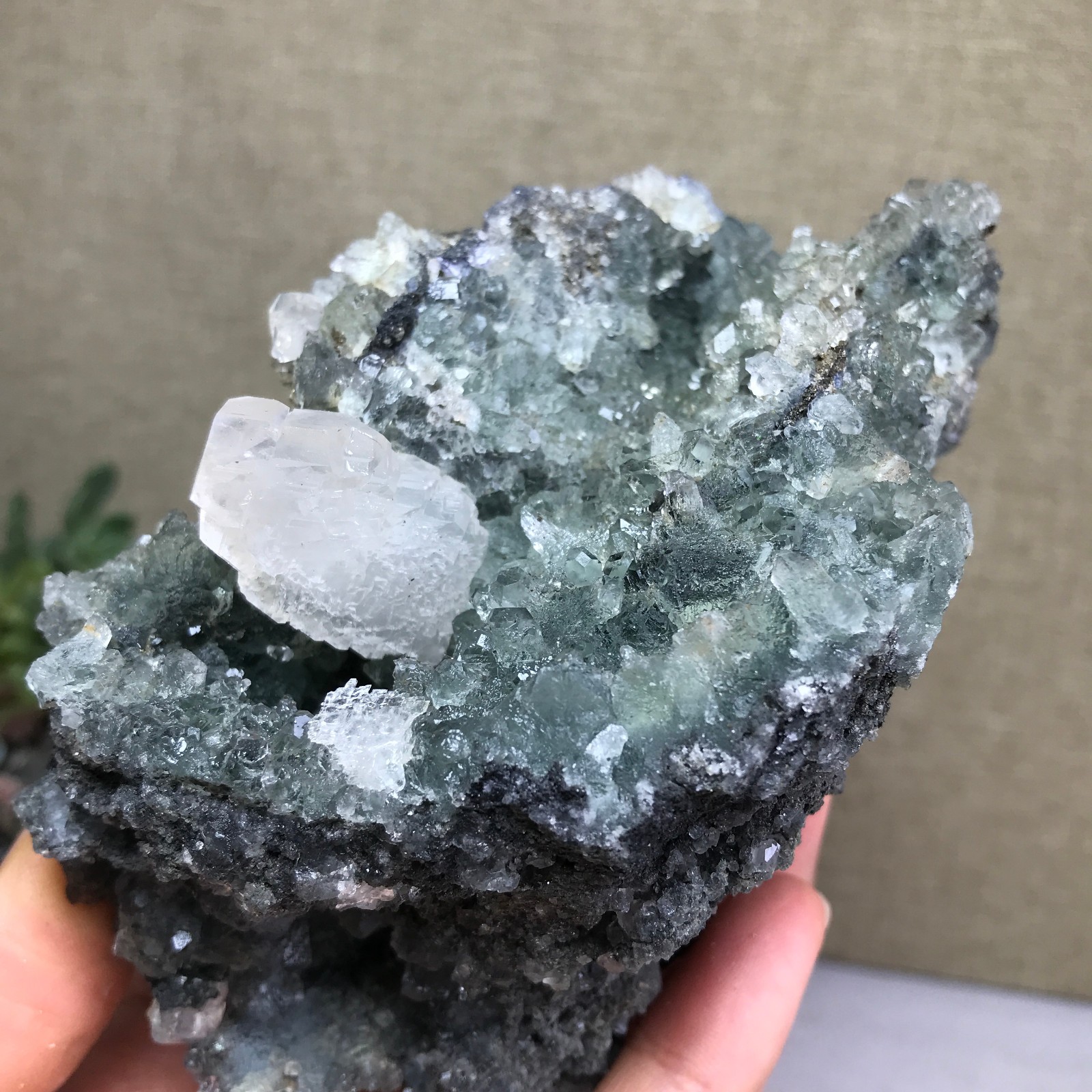 476g NATURAL Green Cubic FLUORITE paragenesis Crystal Cluster Specimen A4780