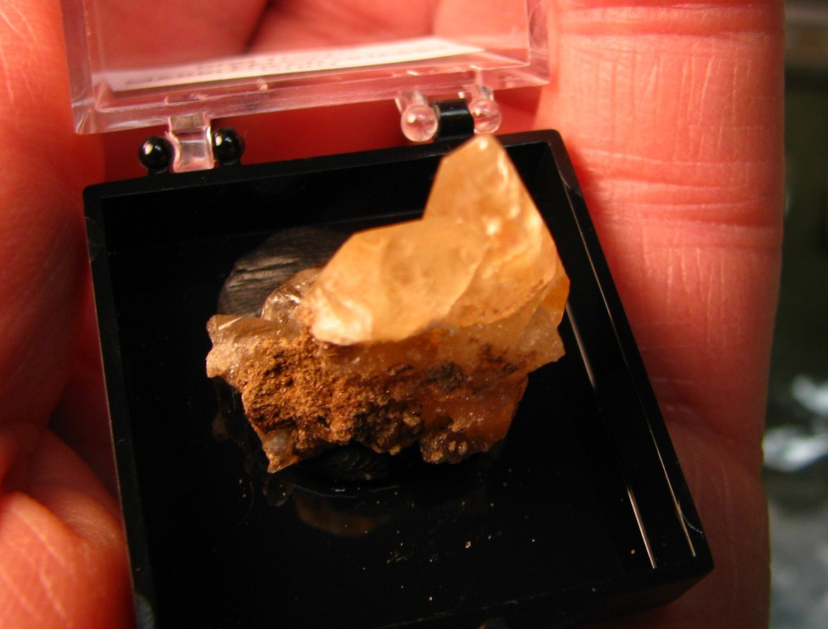 GOLDEN DOGTOOTH CALCITE CLUSTER THUMBNAIL IN CASE MARBLEHEAD QUARRY OHIO #224
