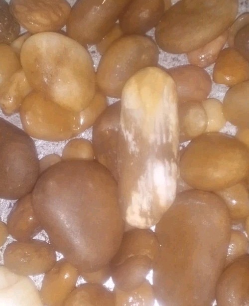 Semi-Translucent Brown and White banded Naturally Tumbled Agate.