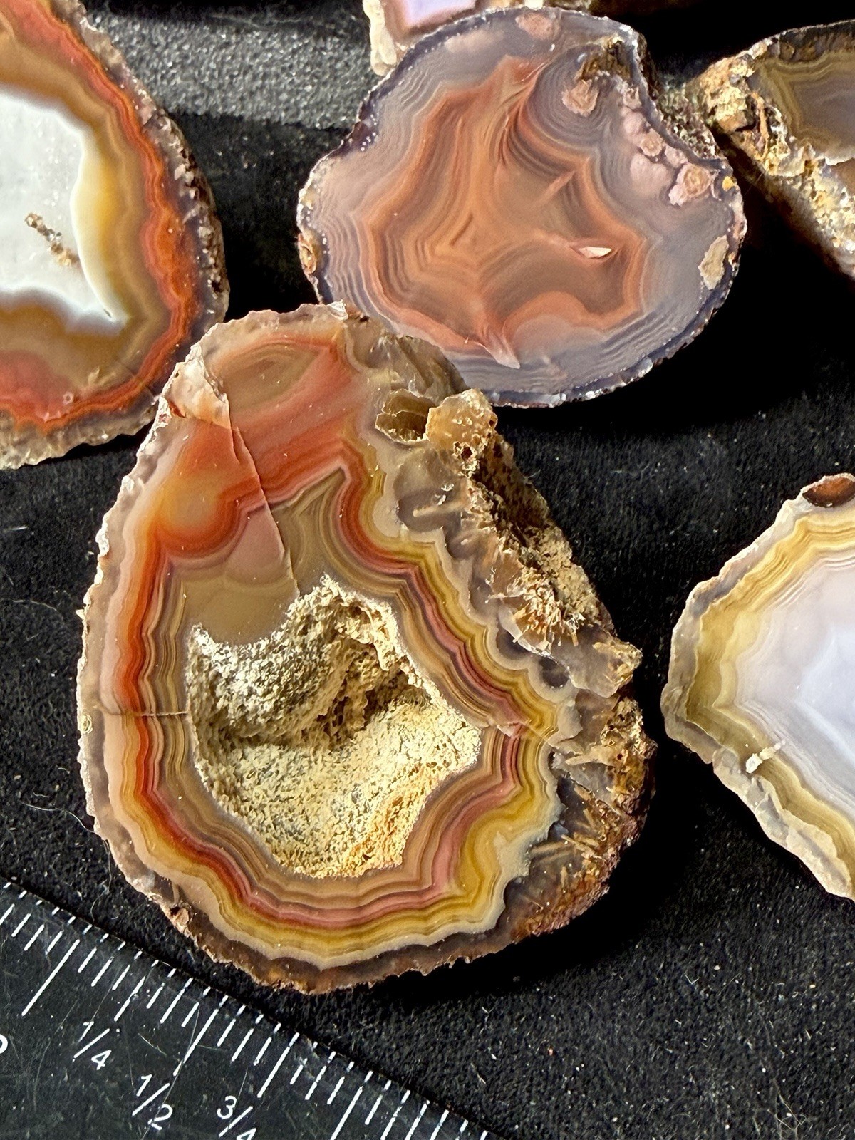 Huge Collection of Coyamito Agates. Mirror Polished Mexico. HARDAGATES