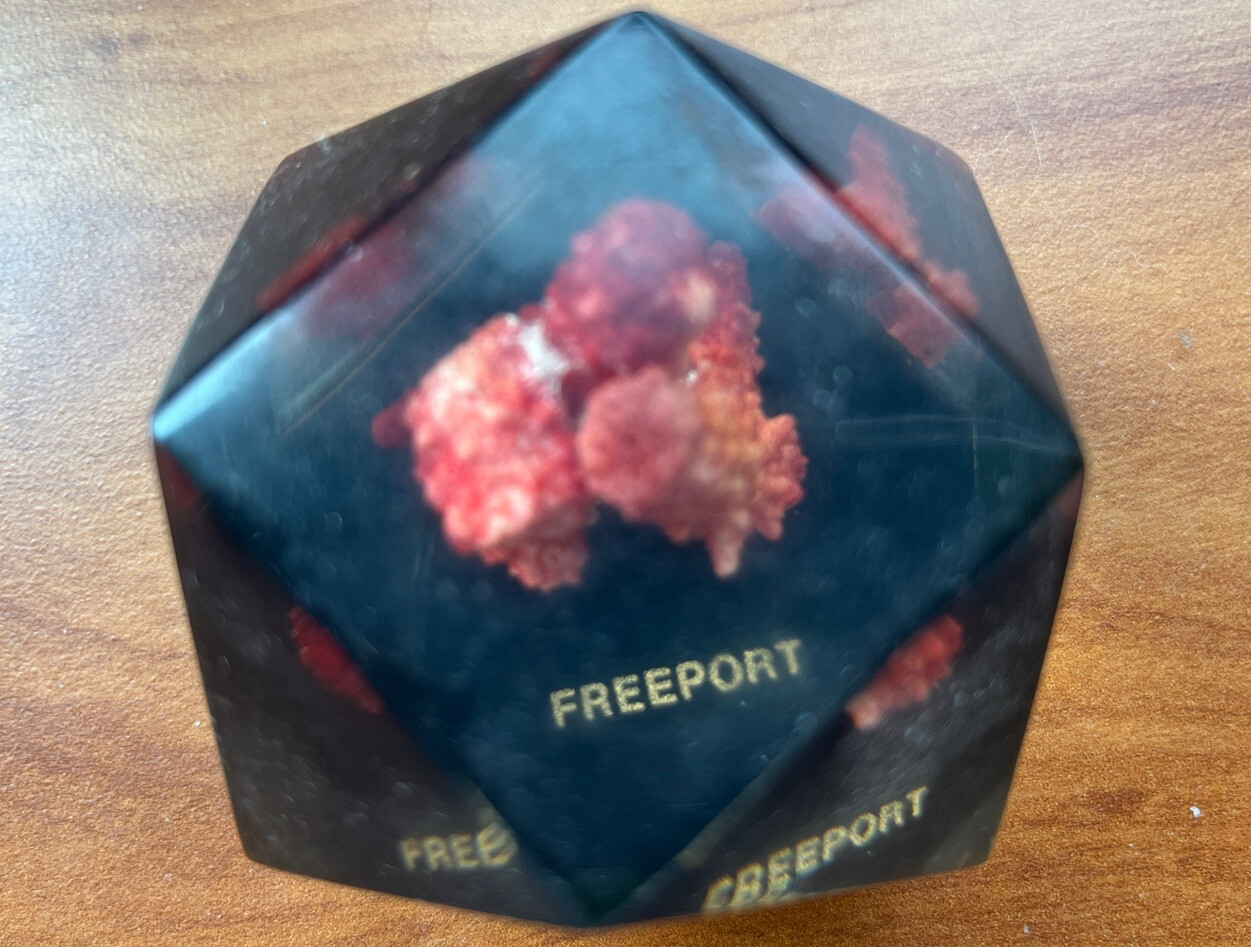 Vtg Lucite Resin 3D Hexagon W/ Red Coral ocean Art Paperweight Decor. Freeport