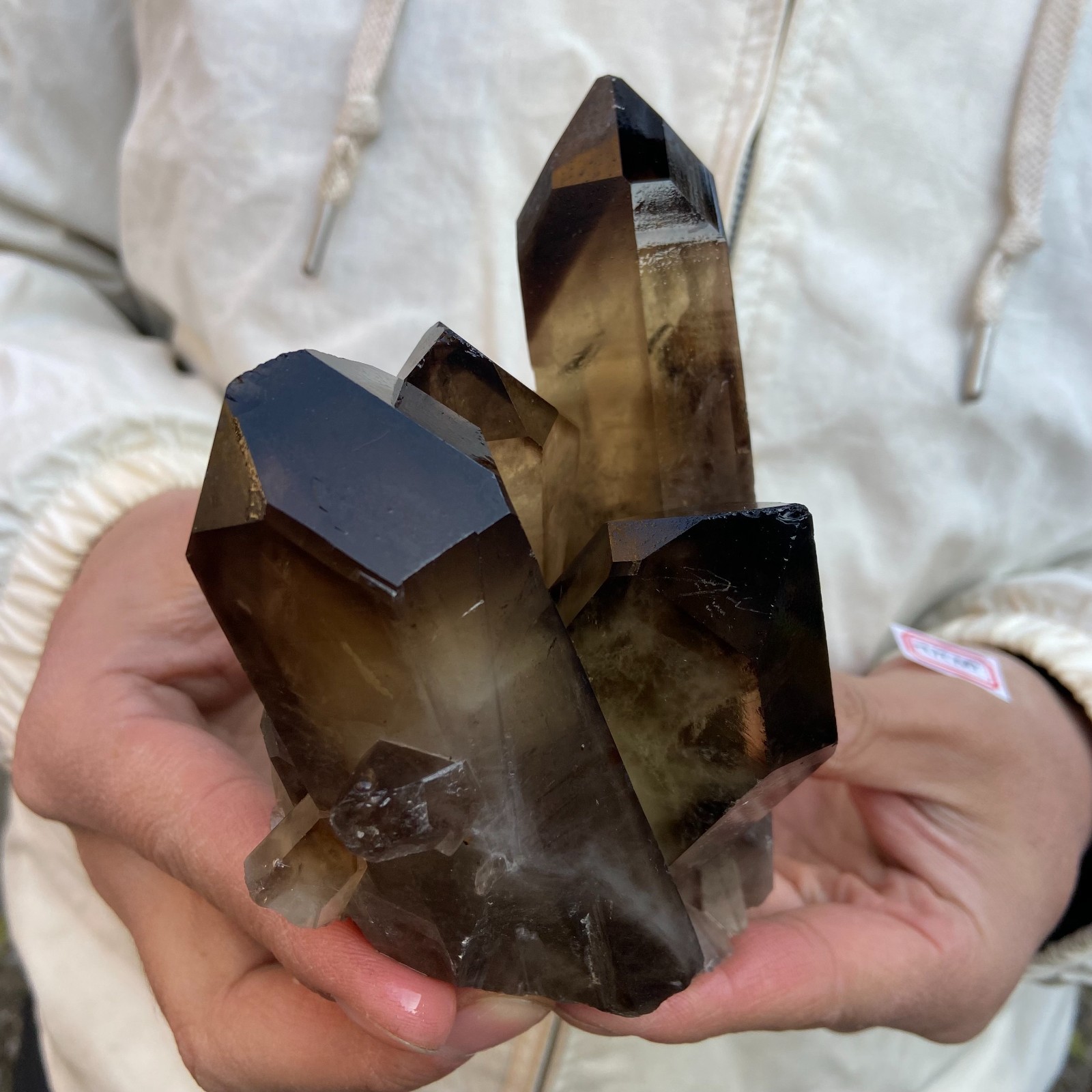 1.8LB Natural Smoky Black Quartz Cluster Crystal raw Specimen Healing