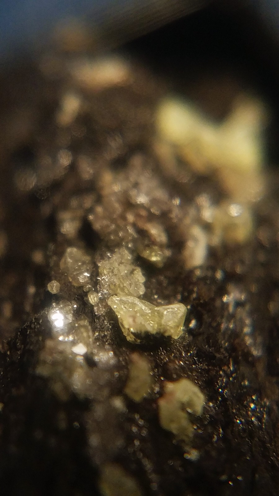 SiG: Tiny Light Pale Yellow Sulphur Crystals on Dark Matrix from Austria