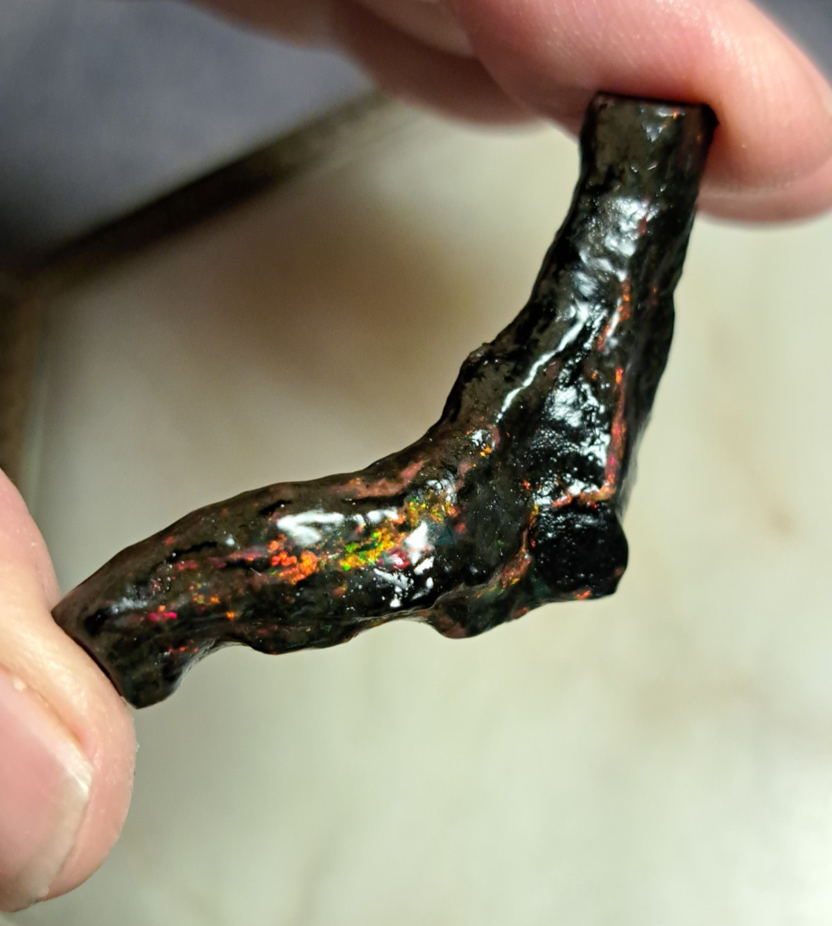 Huge Multicolor 38.52ct Indonesian Wood Opal Fossil Red, Green, & Yellow Flashes