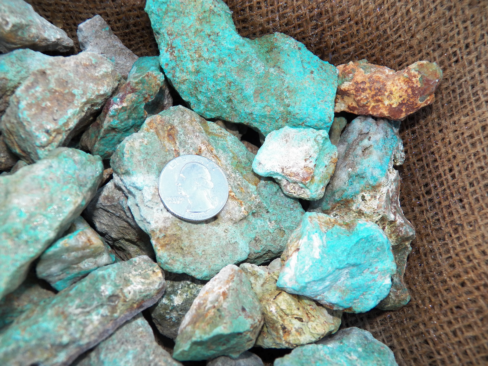 1000 Carat Lots of Natural Turquoise Rough (Not Stabilized) + a Free Gemstone