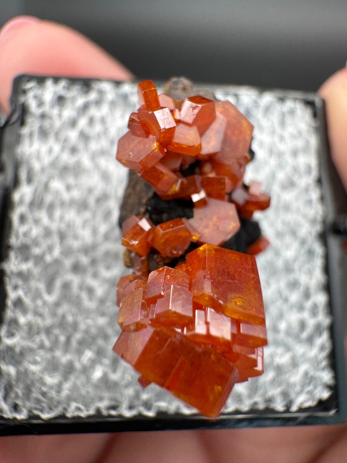 6786 Red Vanadinite on RARE Black Hematite Matrix in Perky Morocco