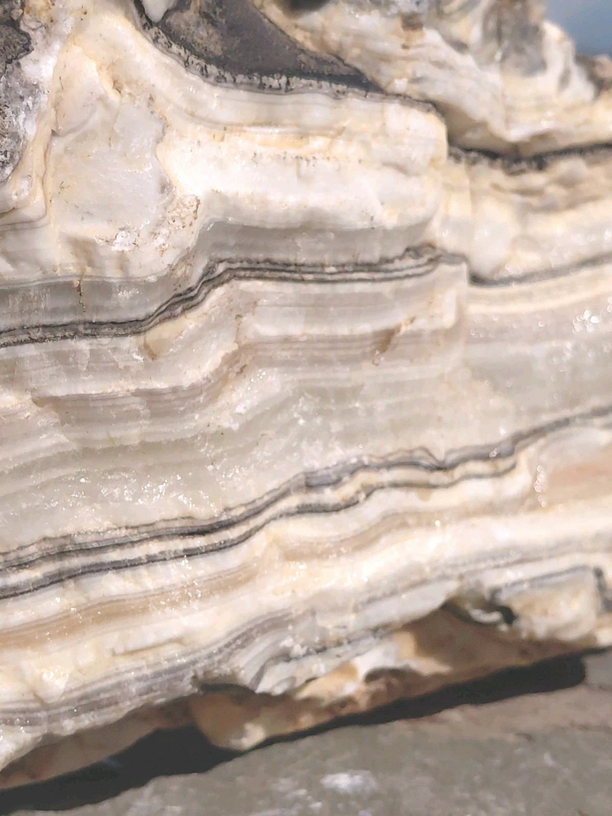 5 1/4Lb Zebra Calcite 9 1/2″×5″×2 1/2″ Display Translucent UV+ Bands A+ Slabber