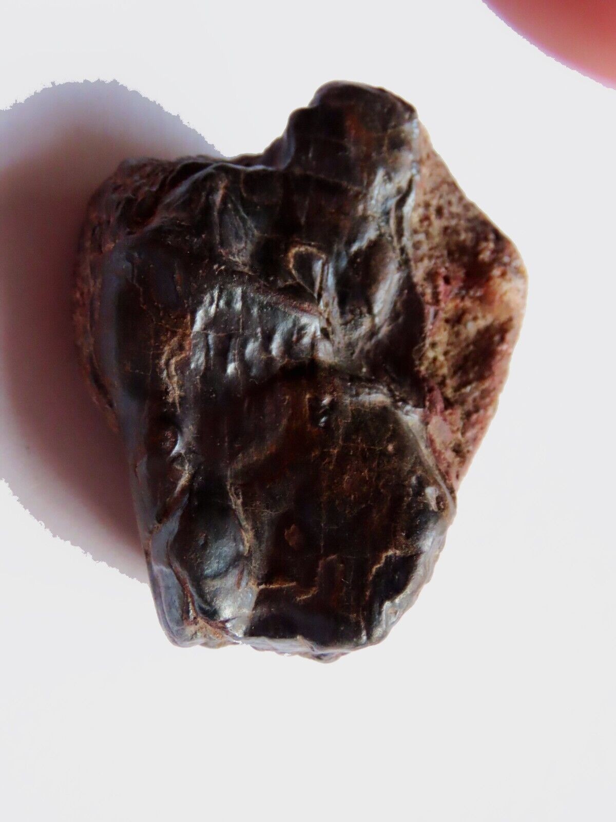 Meteorite @ 40 grs