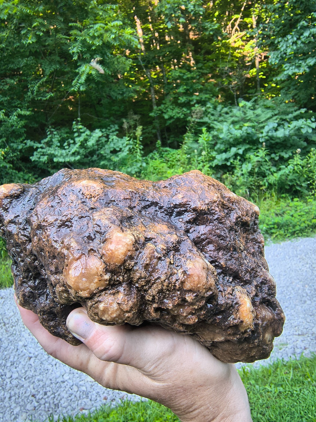 7.06 lb Kentucky Geode Unopened Large Natural Crystal Geode 8″ Feels Hollow
