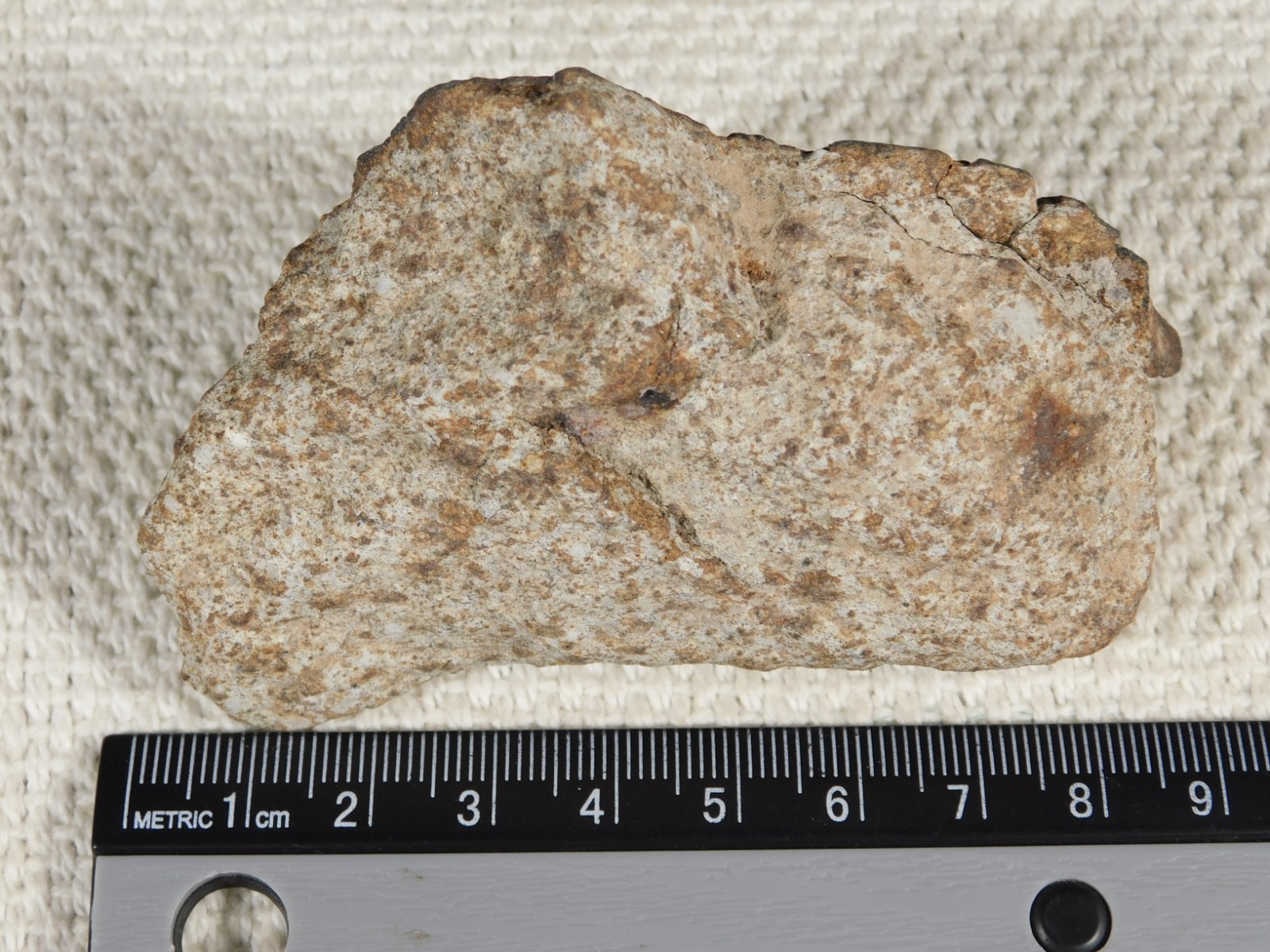 Larger! Classified NWA 8245 METEORITE 100% Natural! Erfoud, Morocco 184gr