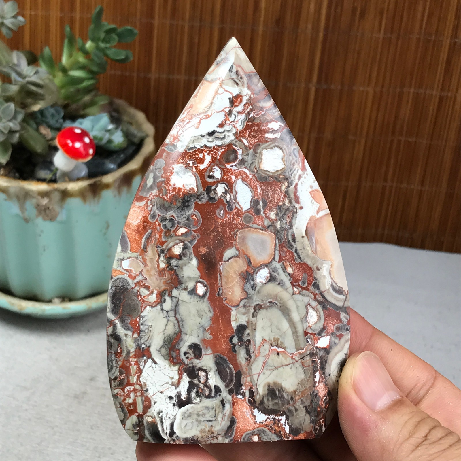 Natural money Mexico agate hand carve leaf Crystal Specimen free standing A6260