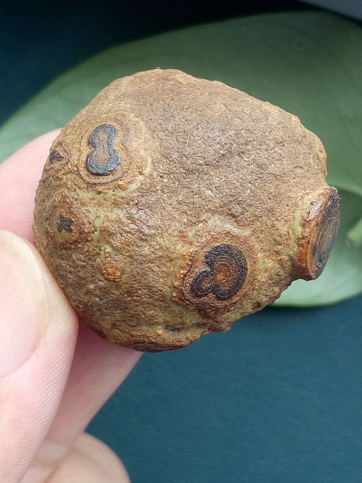 36mm/40g Natural Gobi agate eye agate stone collection