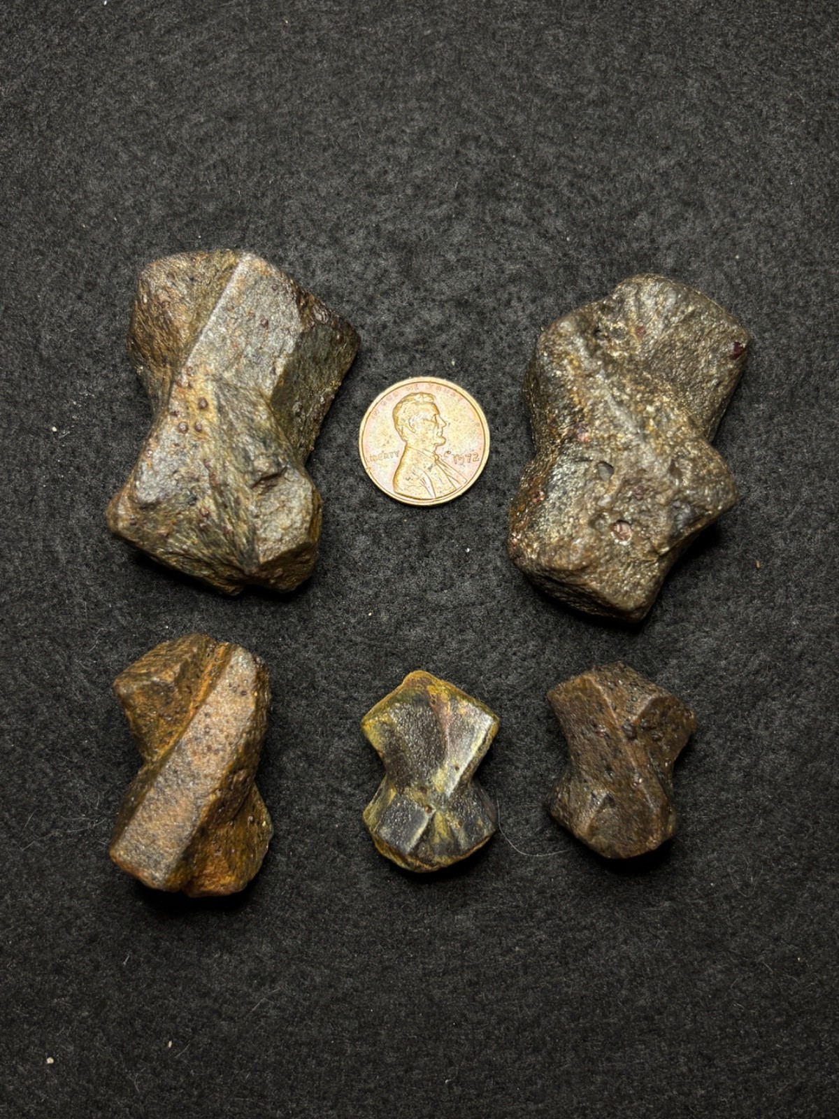 Five Large Staurolite Fairy Cross Crystals Lot 5 North Georgia Natural Specimens