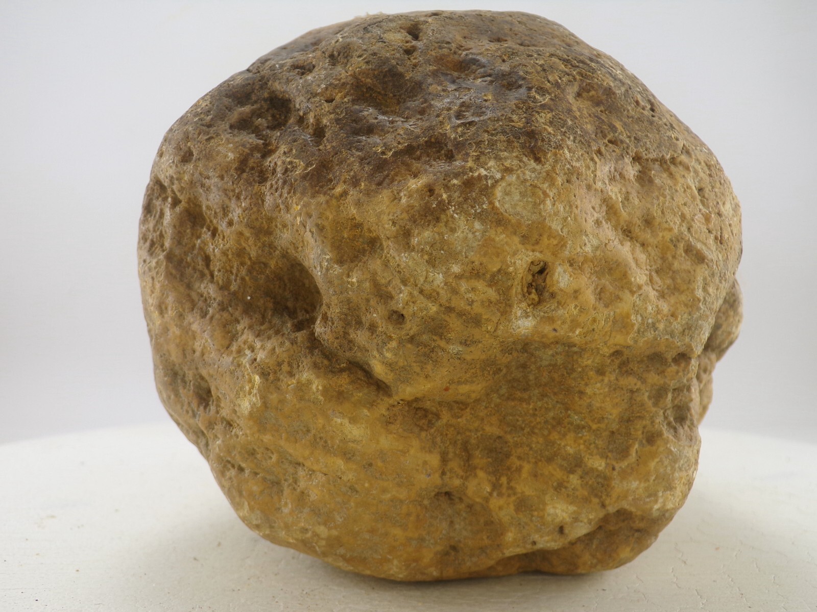 7″ Unopened Geode Nodule 6.4 LB – Natural Uncut Kentucky Quartz Crystal