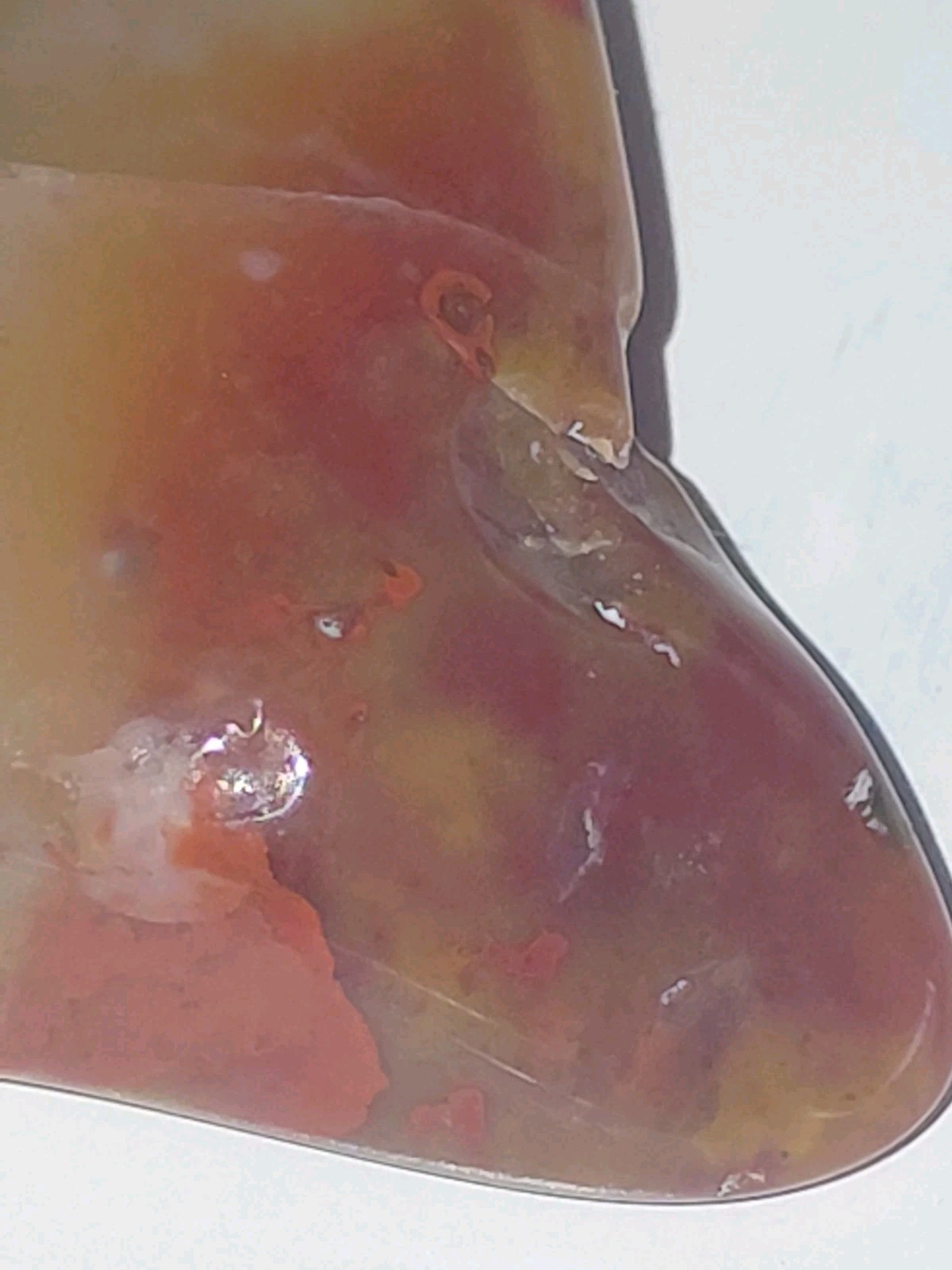Polished Yellow Cat UV+ Agatized Petrified Wood Limb Cast Mineralization @ Depth