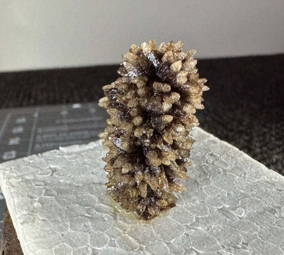 ➤ 1-1/2″ Tall “HEDGEHOG” CALCITE Pleasant Ridge Rensselaer Indiana VIDEO➤412