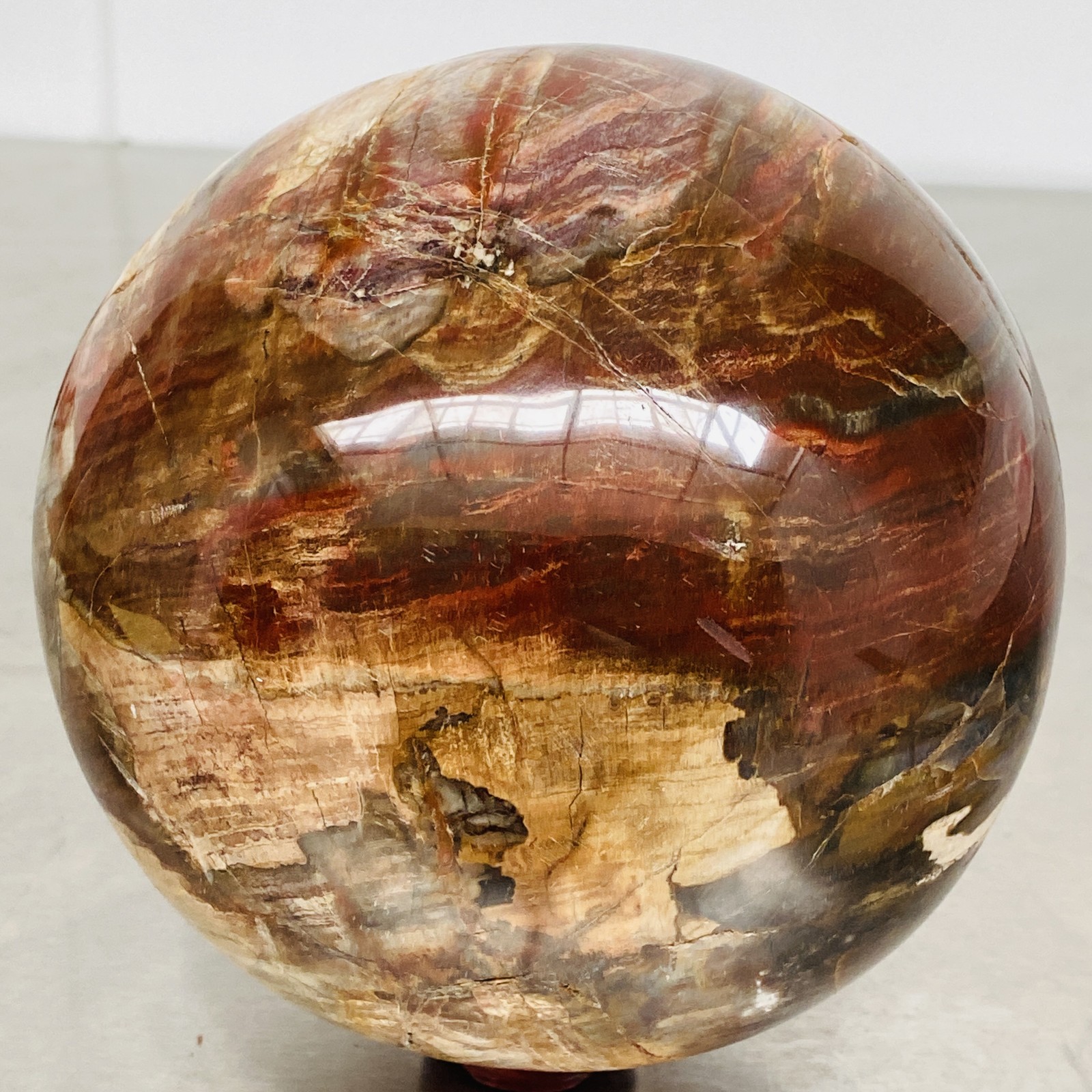 Natural Petrified Wood Polished Stone Quartz Crystal Sphere Ball Healing 3720G