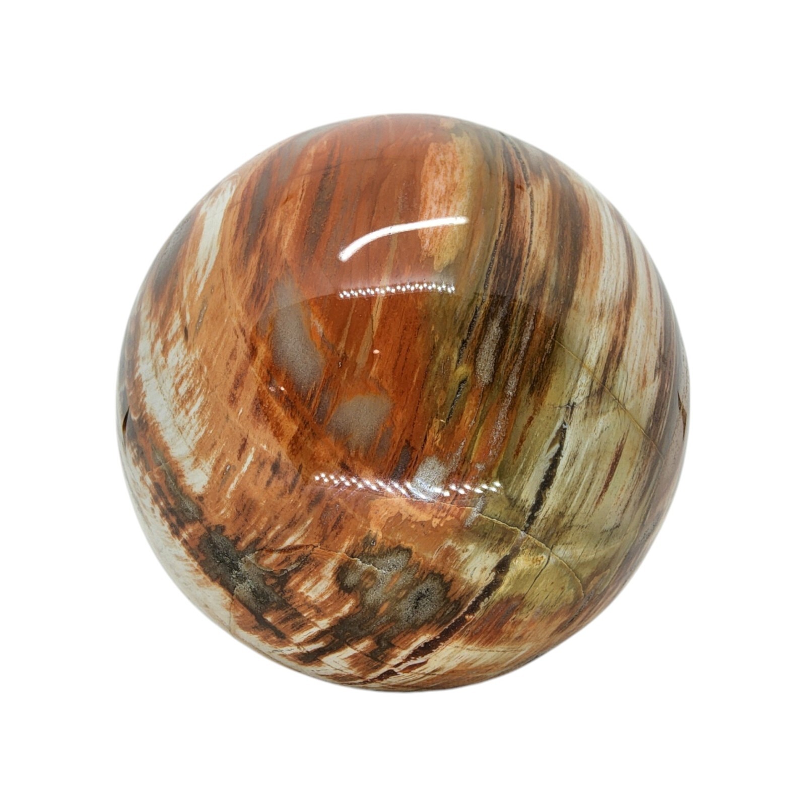 Petrified Wood, 3.75″, sphere, display specimen, #R-6529