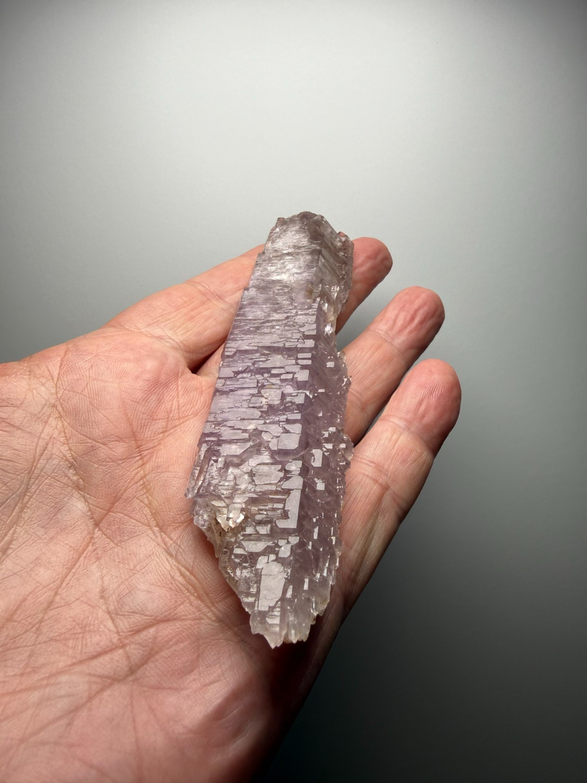 AMAZING Jacare Amethyst- Buridan’s Mule Claim, New Mexico- RARE PIECE!