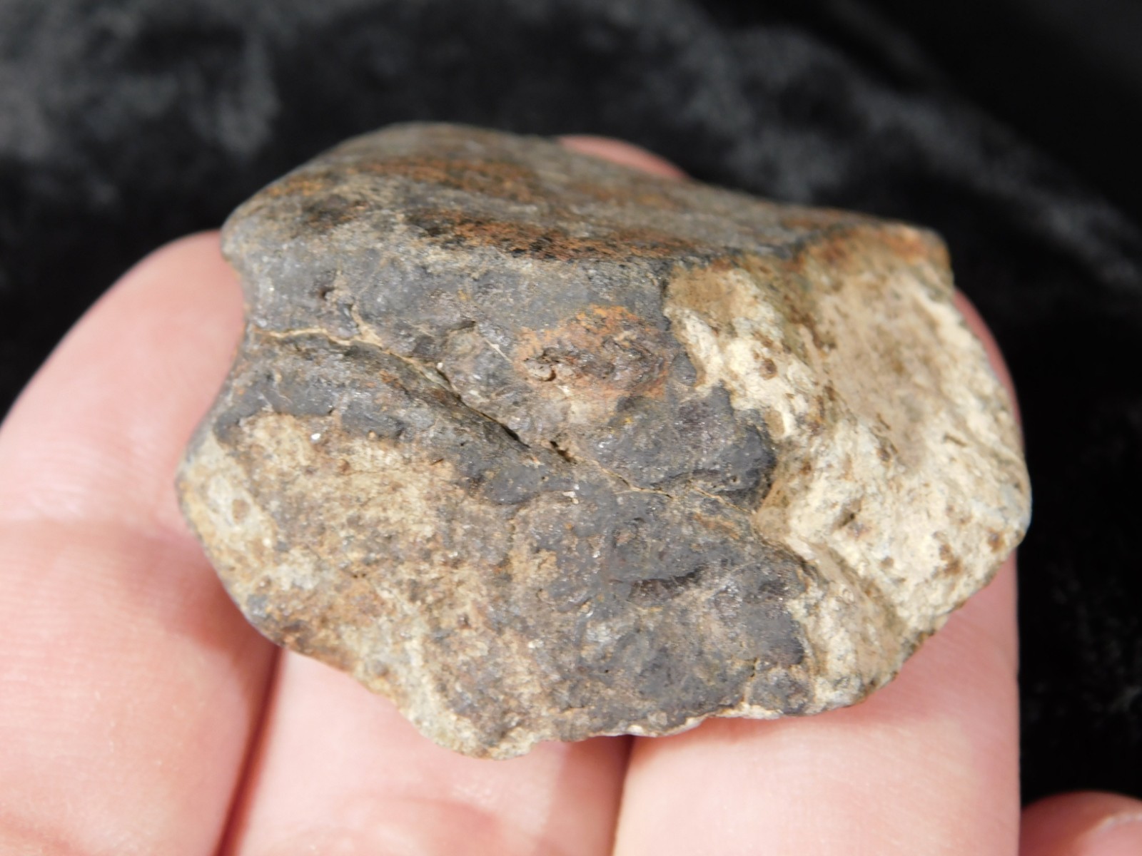 Stony METEORITE With Dark Fusion Crust 100% Natural Fell in Libya 42.2gr
