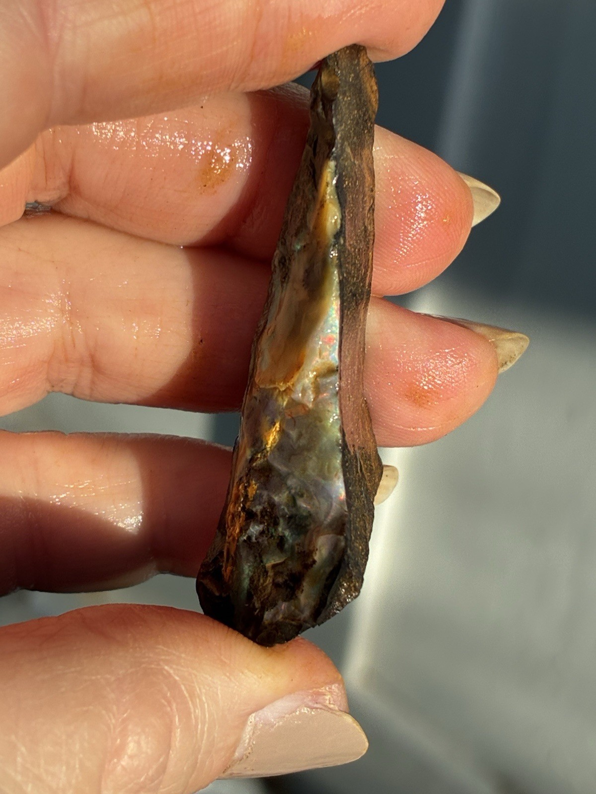 Beautiful 89ct Large Australian Boulder Opal Rough Loose Multicolor Specimen J