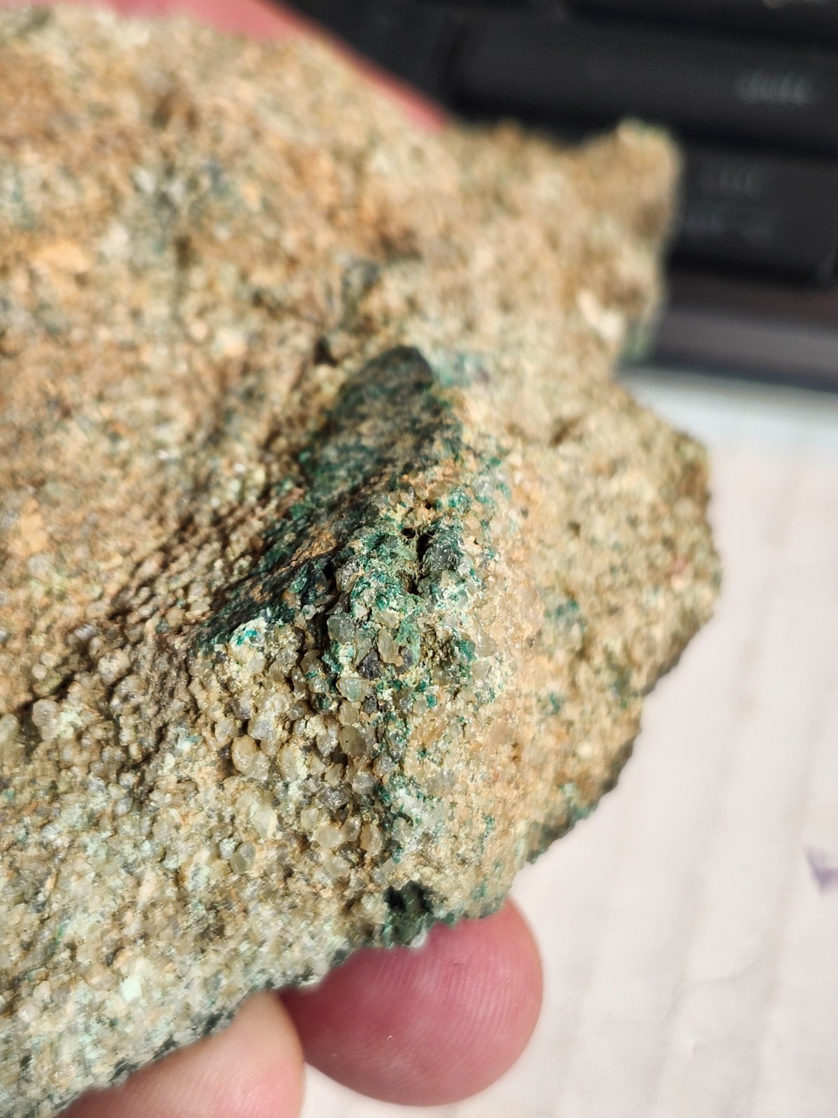 Wood replaced by Copper, Azurite/Malachite Tints, Nacimiento Mine, Cuba, NM