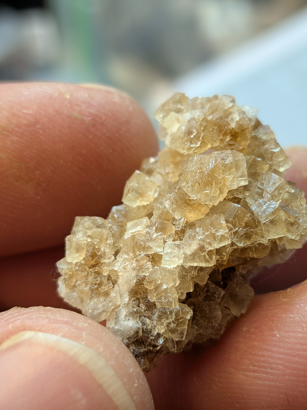 Brown Fluorite Cluster with Quartz Fluorescent Western Kentucky USA