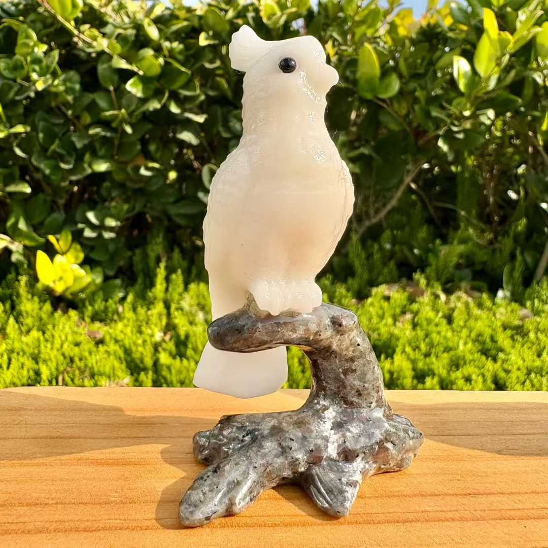 1pc Natural White Jade ,Yooperlite Quartz Carved Parrot Skull Crystal Reiki