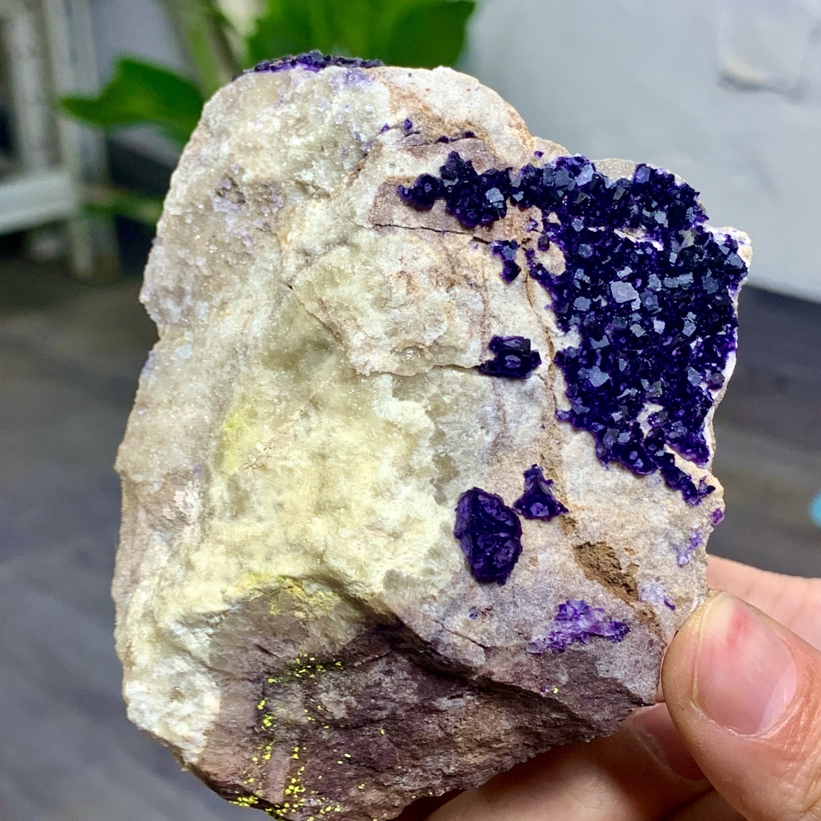 248G Rare transparent purple cubic fluorite mineral crystal sample/China