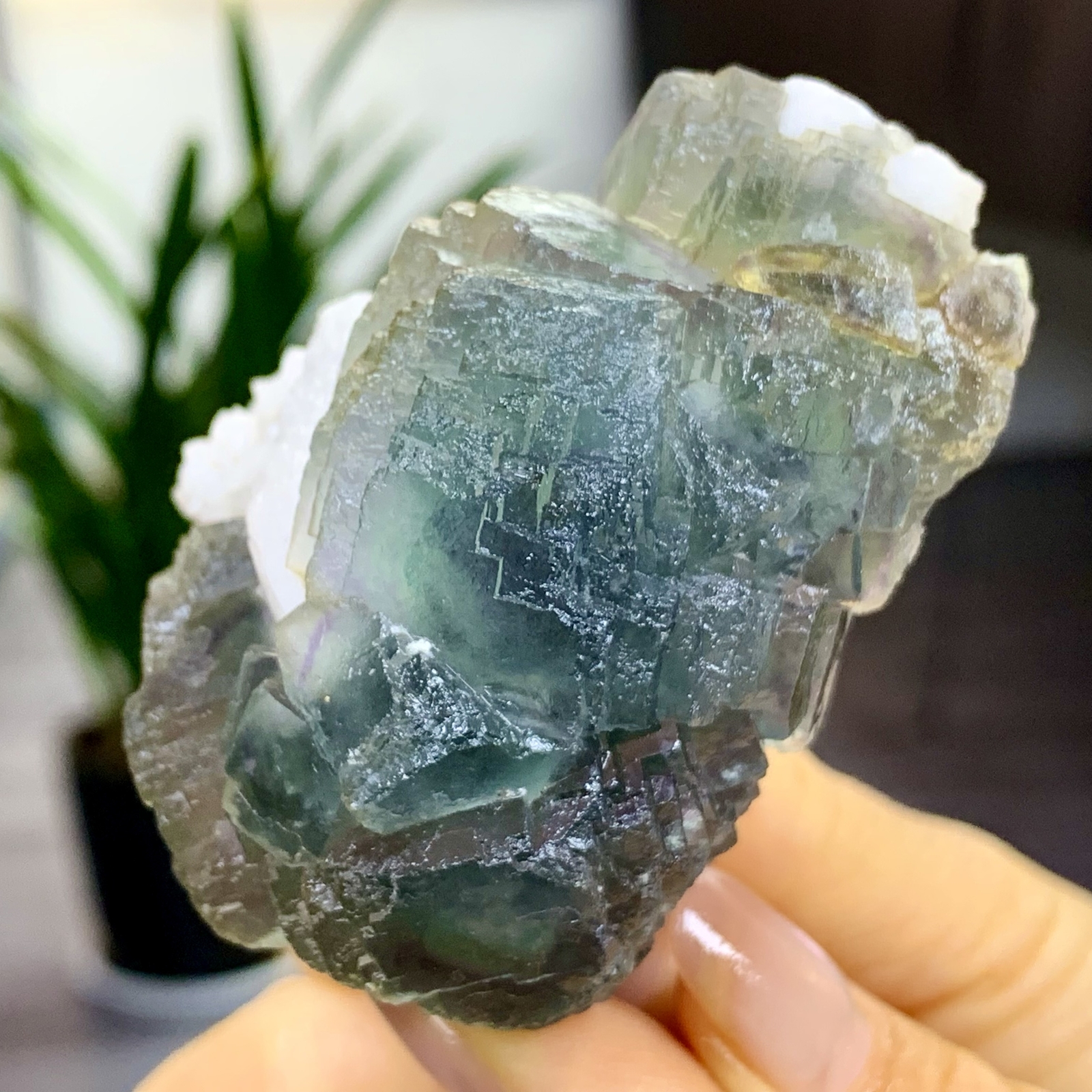 197G Rare transparent blue green cubic fluorite mineral crystal sample