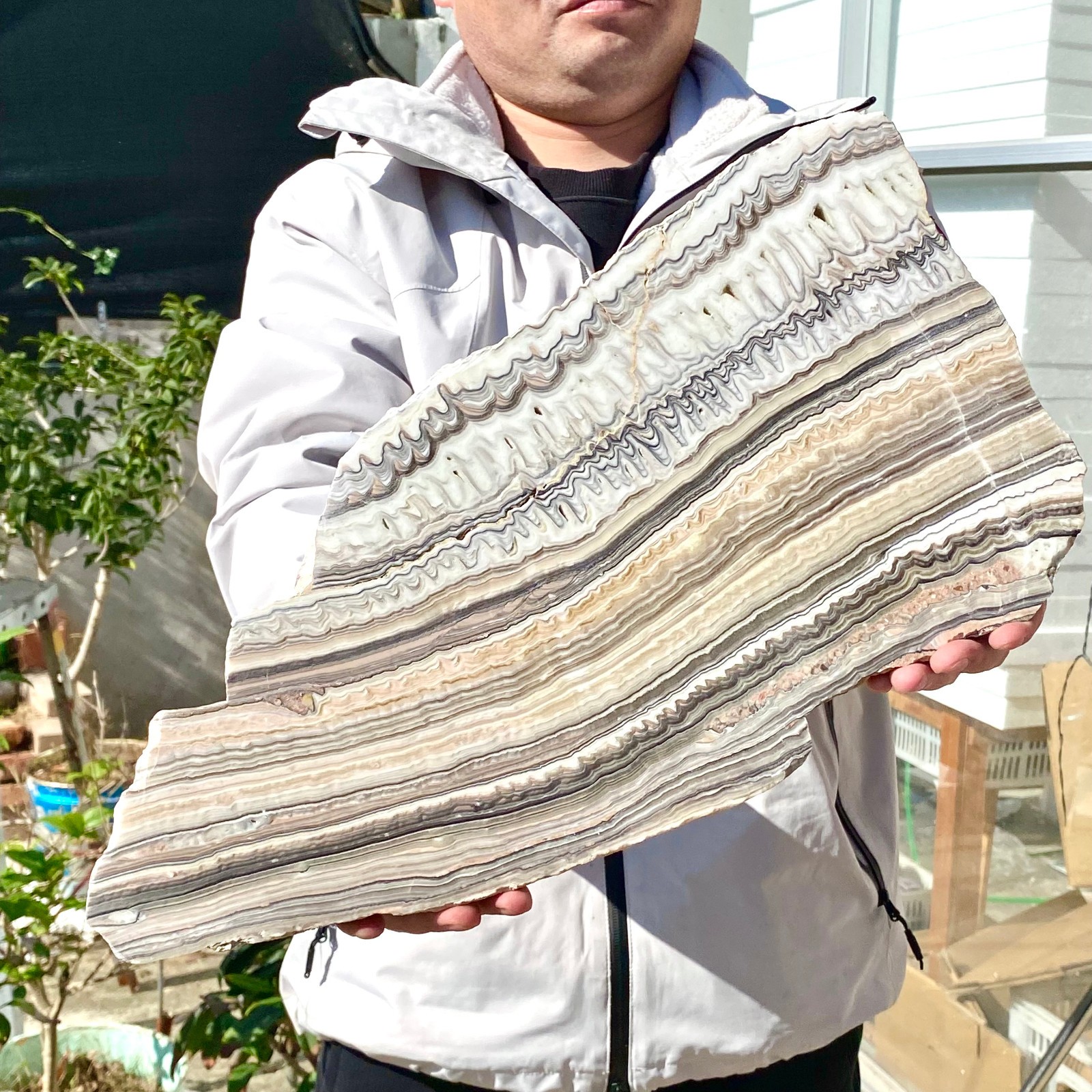 6LB Natural agate, zebra stone, crystal mineral, cut and polished in flakes