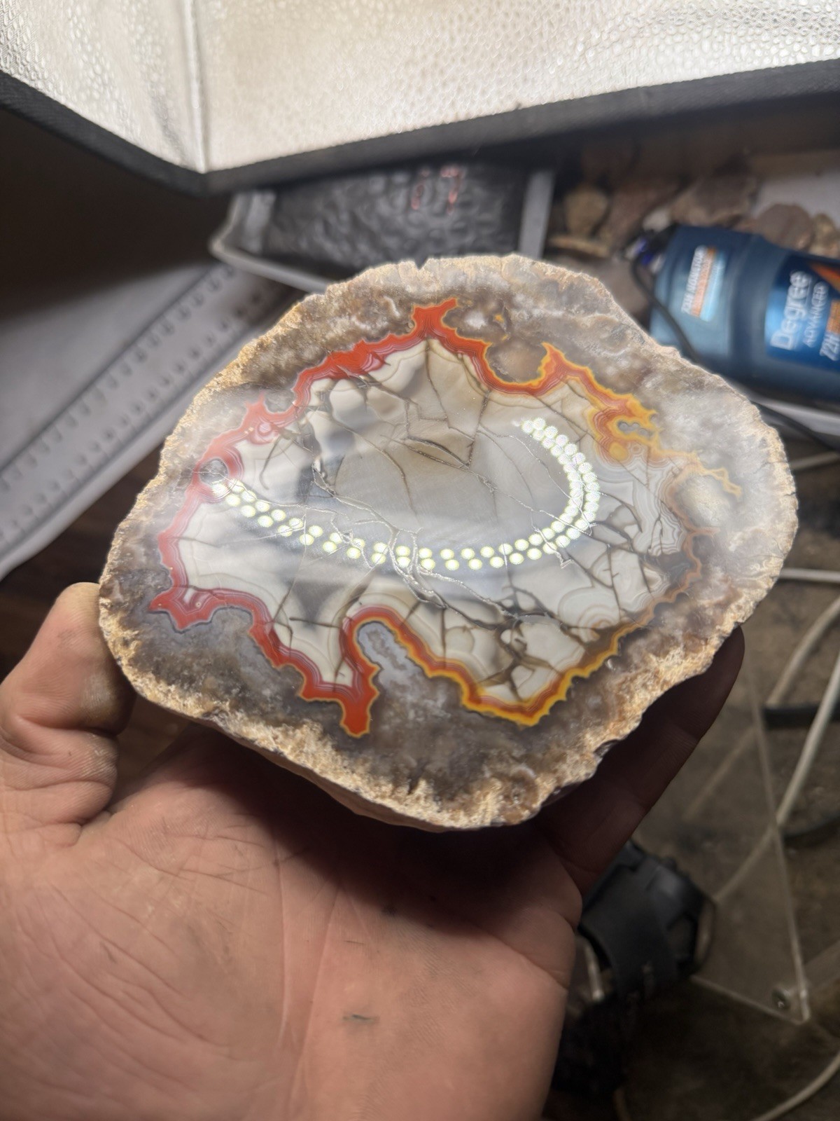 LARGE 1LB 12OZ Fire Kentucky Agate With Dark Fracture Lines Brilliant Contrast