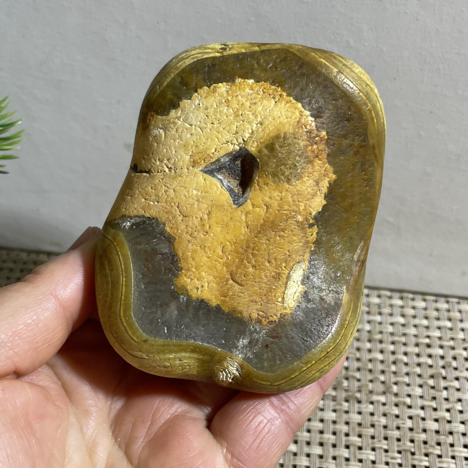 352g Bonsai Suiseki- Gobi Agate Eyes Stone-Rare Stunning Viewing