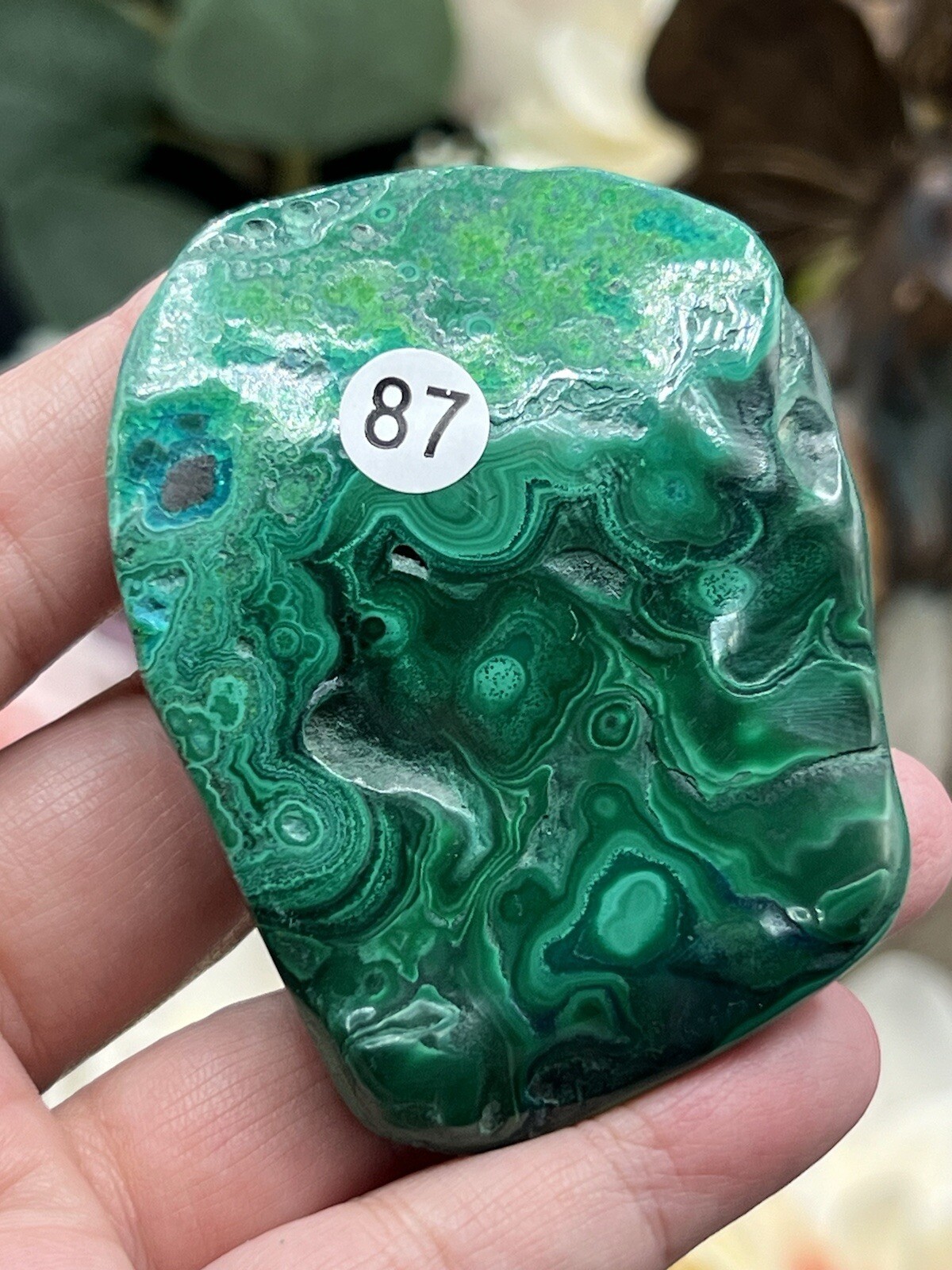 Natural “Malacolla” Malachite & Chrysocolla Freeforms L@@K Free ship & Gift