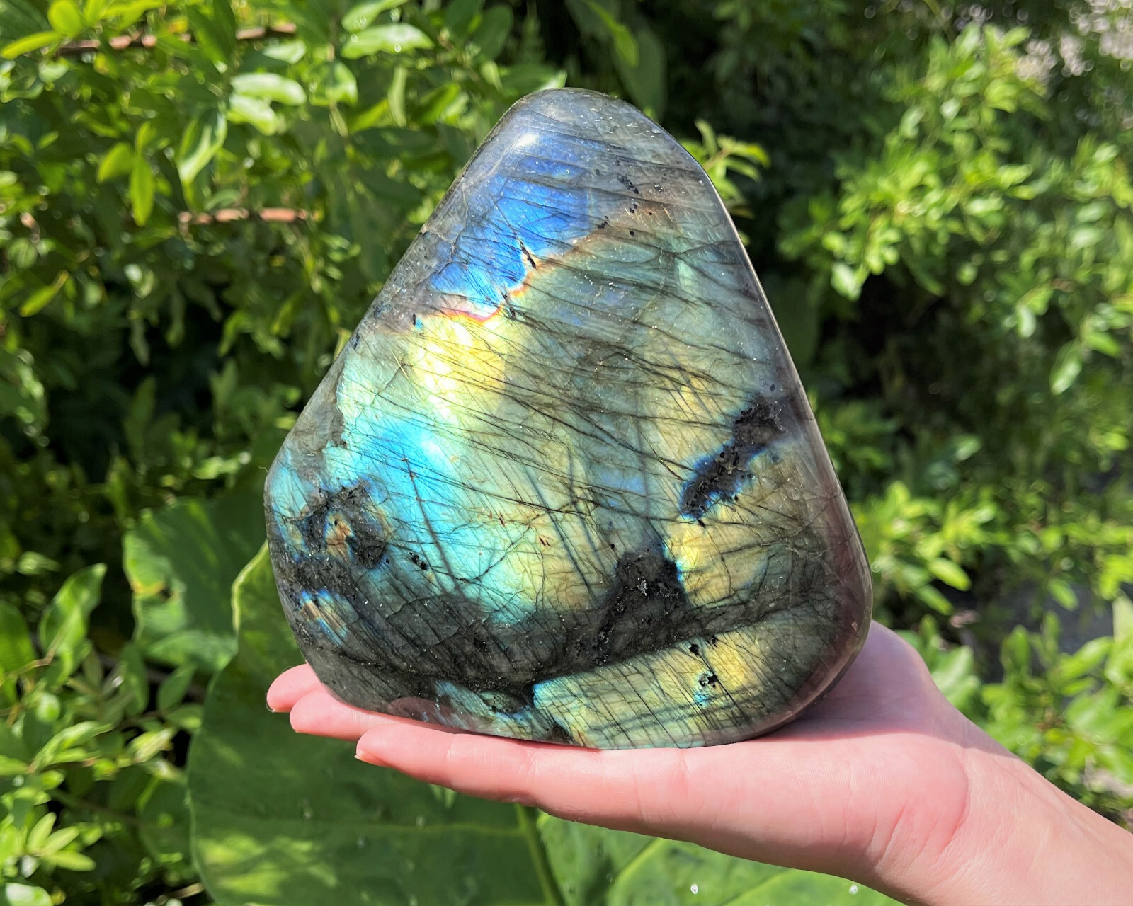 JUMBO Polished Labradorite Freeform: High Flash Free Standing Crystal Specimens