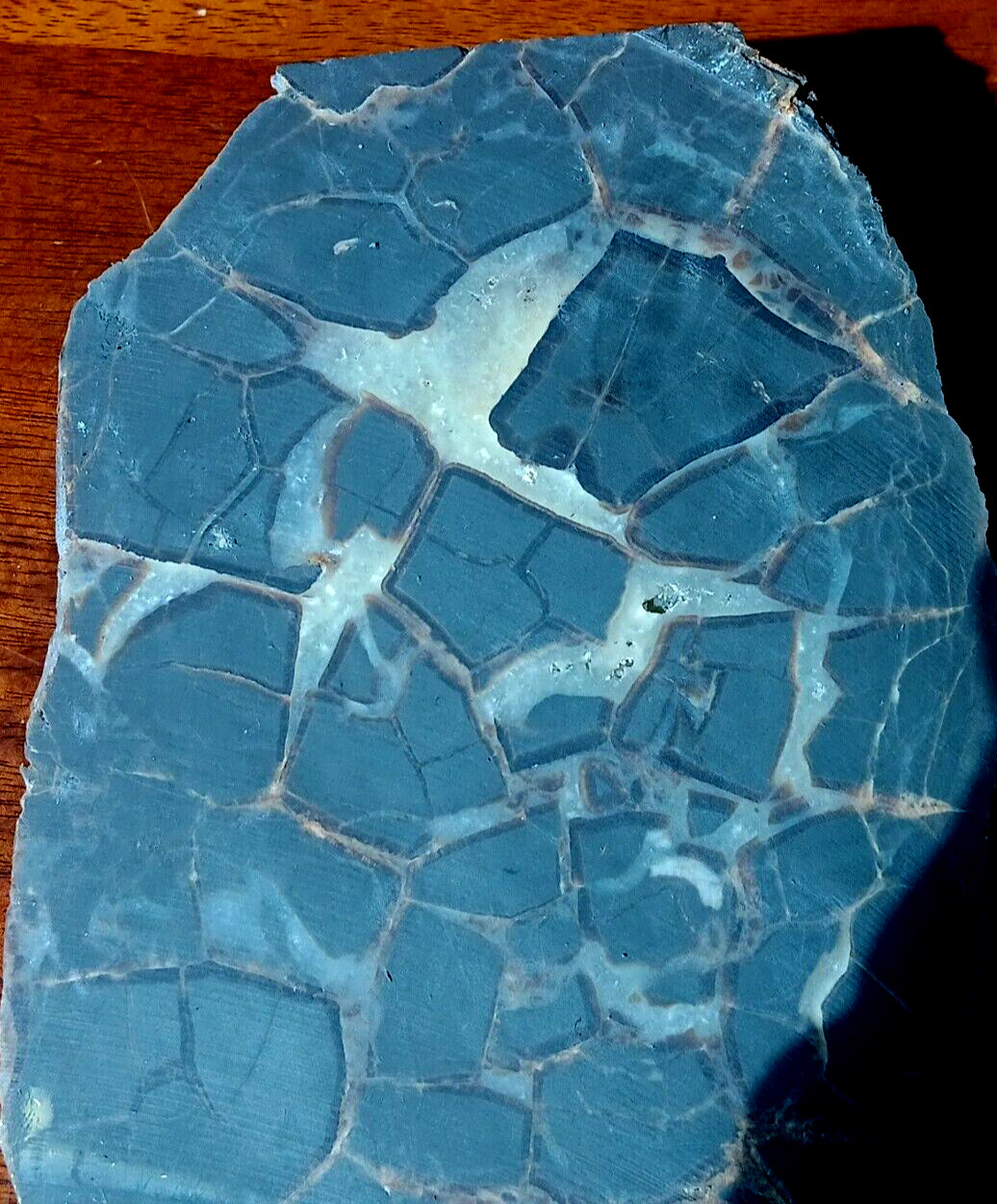 Septarian Nodule UV Reactive End Cut Display Crystal Specimen Glows Purple