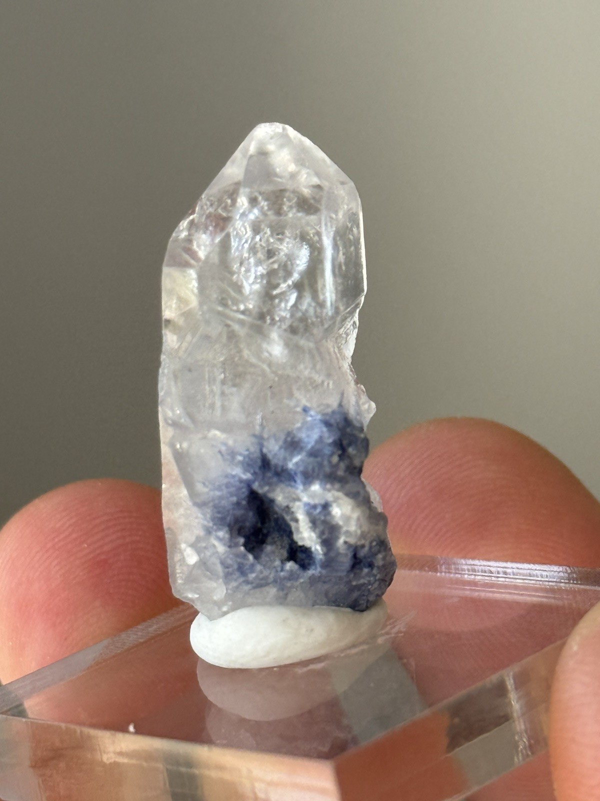 Blue Dumortierite Included Quartz Crystal Bahia Brazil 6.2g • 3cm • ID97