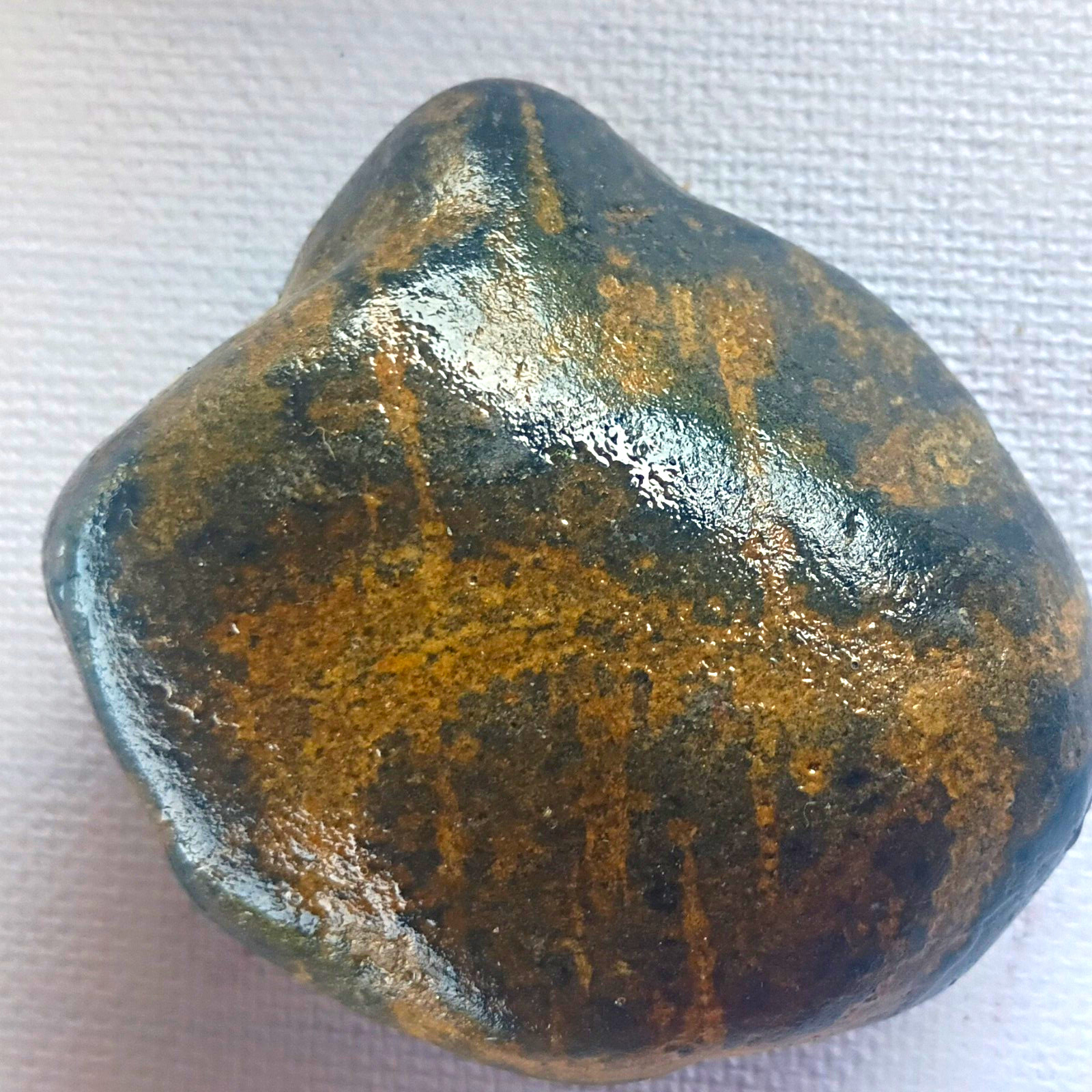 Polished Dark Brown Black Stone Mineral Specimen With Brown Veining Display