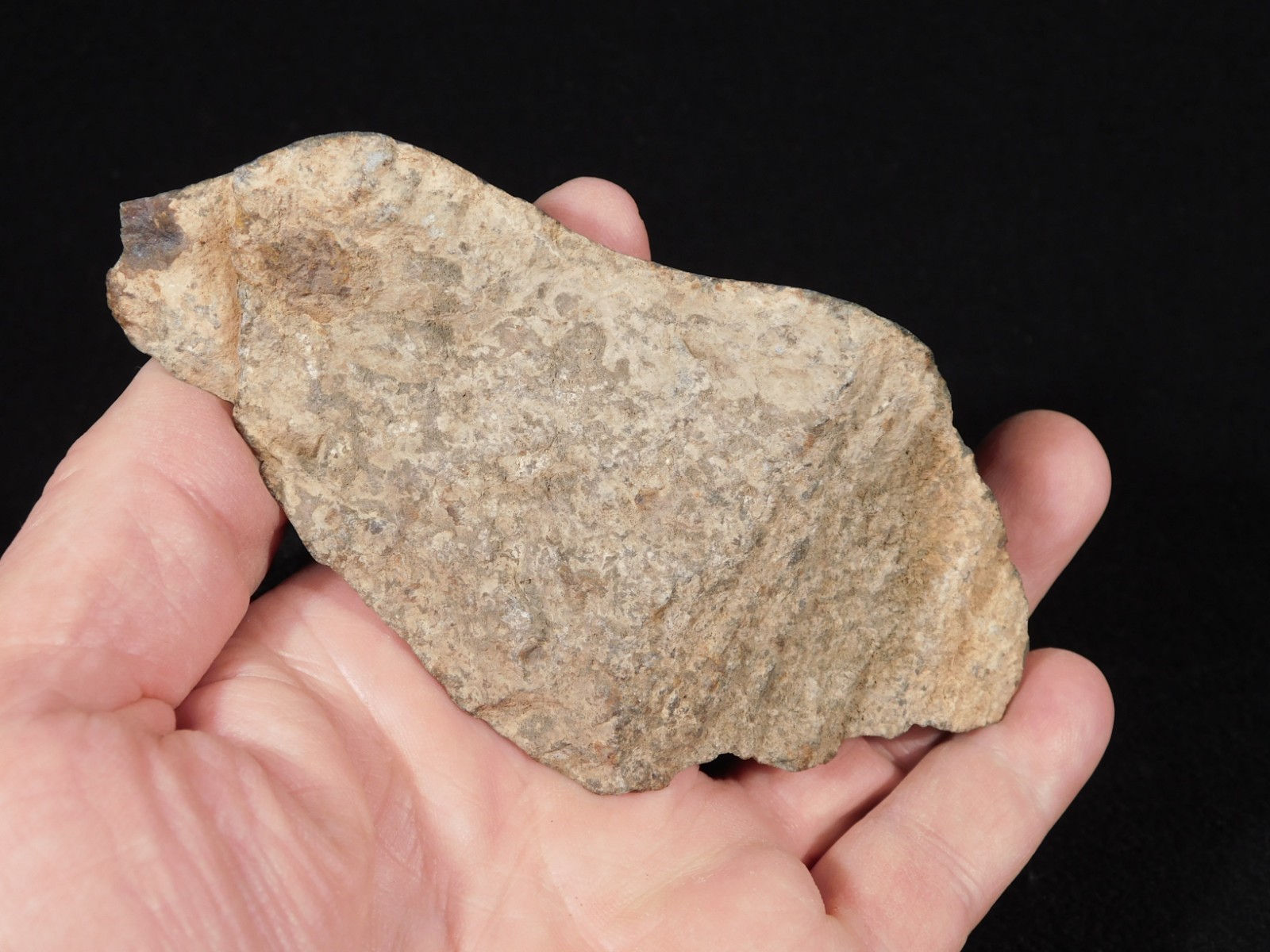 Classified NWA 8245 METEORITE Dark Crust and Regmaglypts! Erfoud, Morocco 298gr